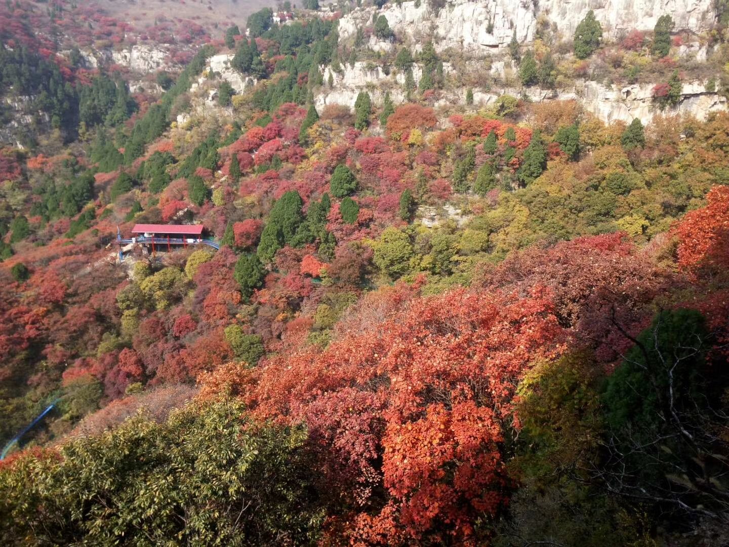 红叶小镇旅行图片 1