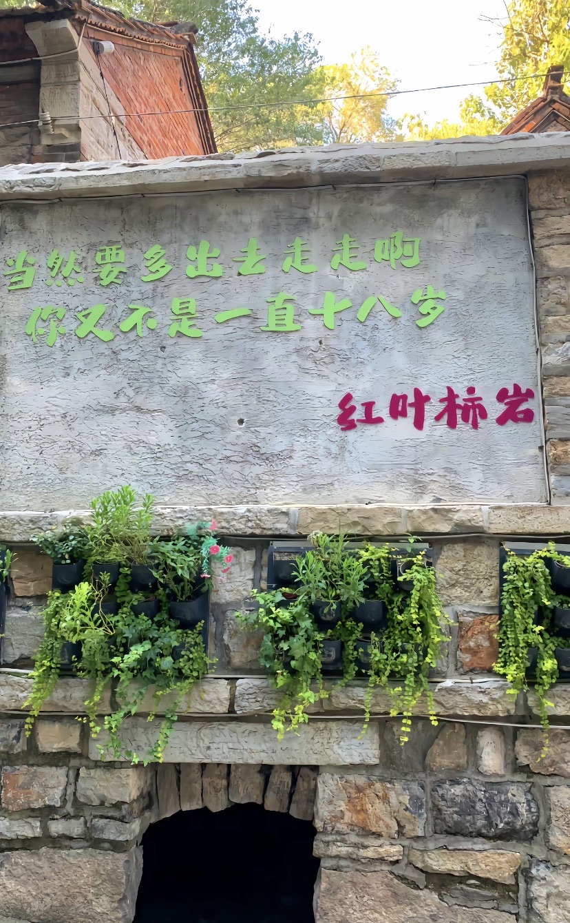 红叶小镇旅行图片 3