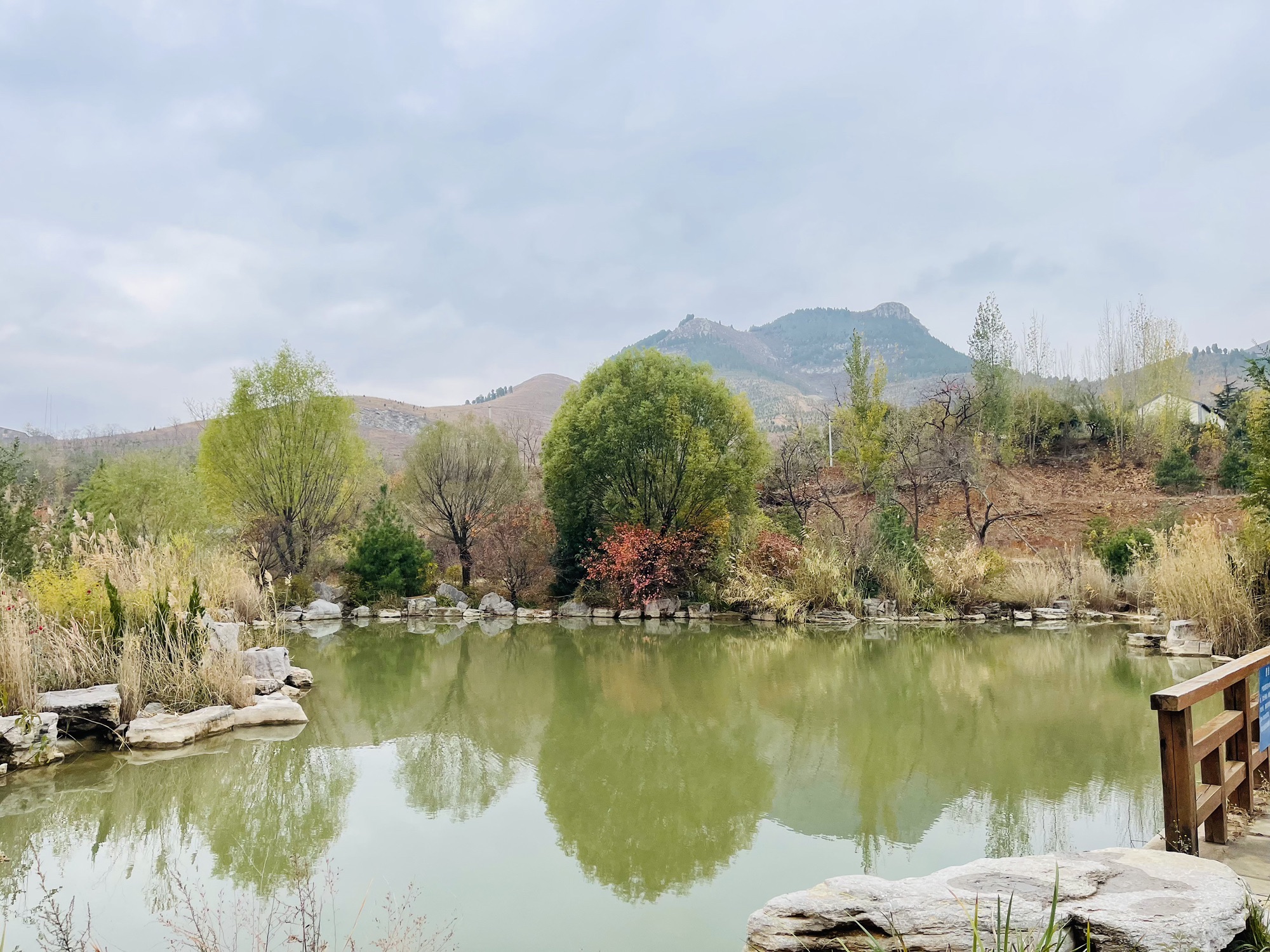 红叶小镇旅行图片 1
