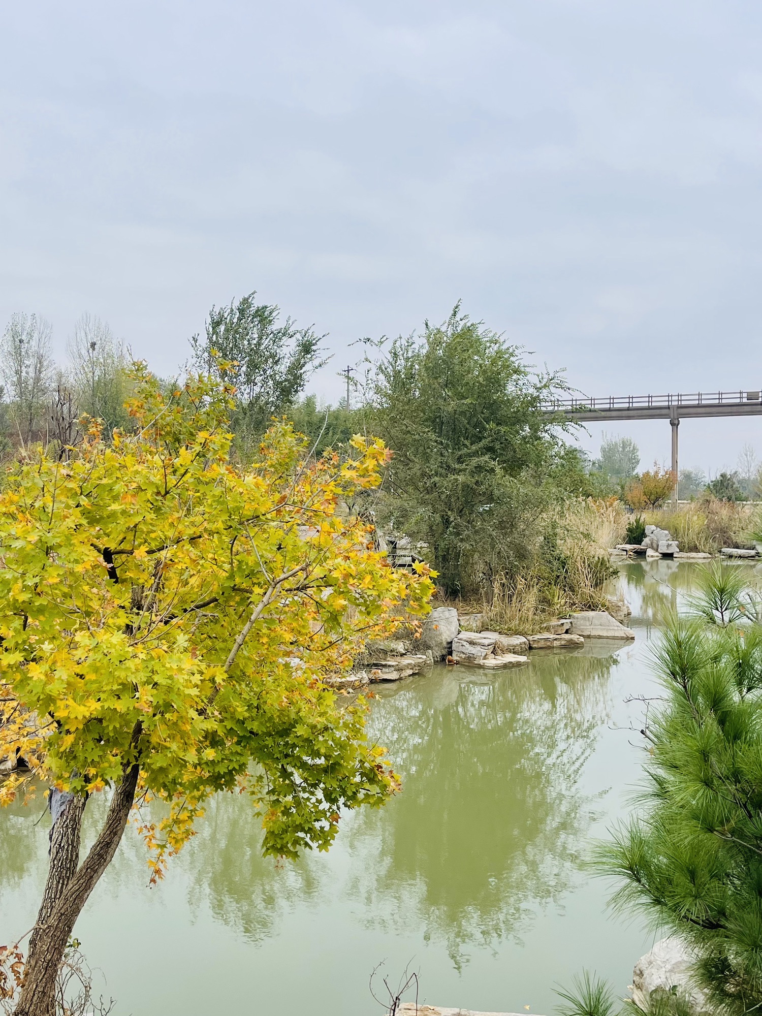 红叶小镇旅行图片 3