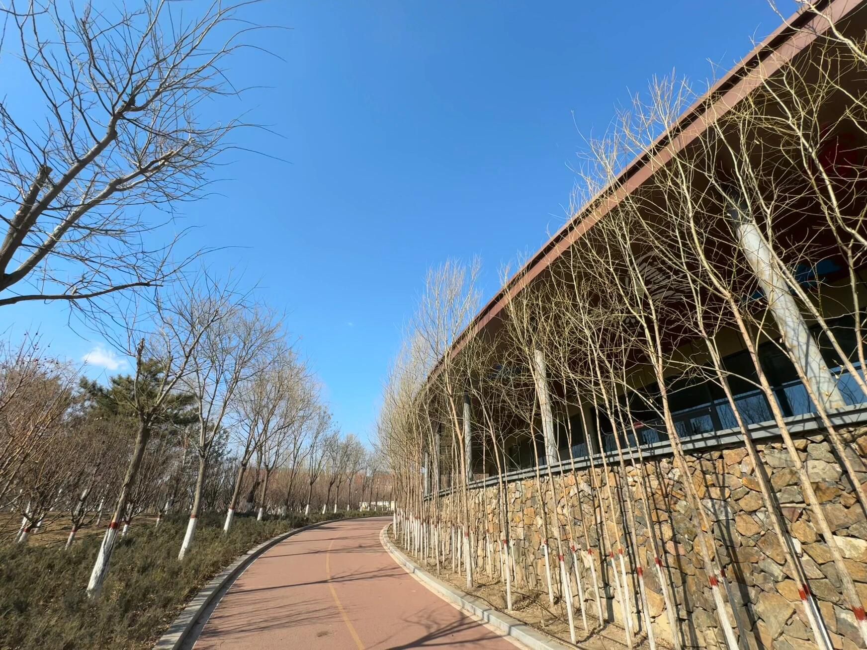 氢都文化公园旅行图片 2