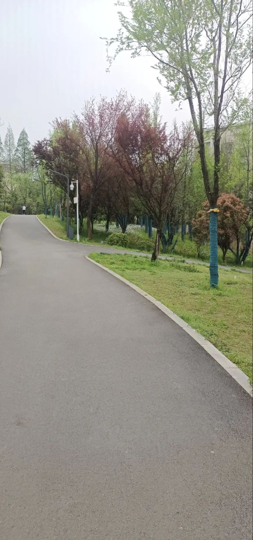 新苗公园旅行图片 3