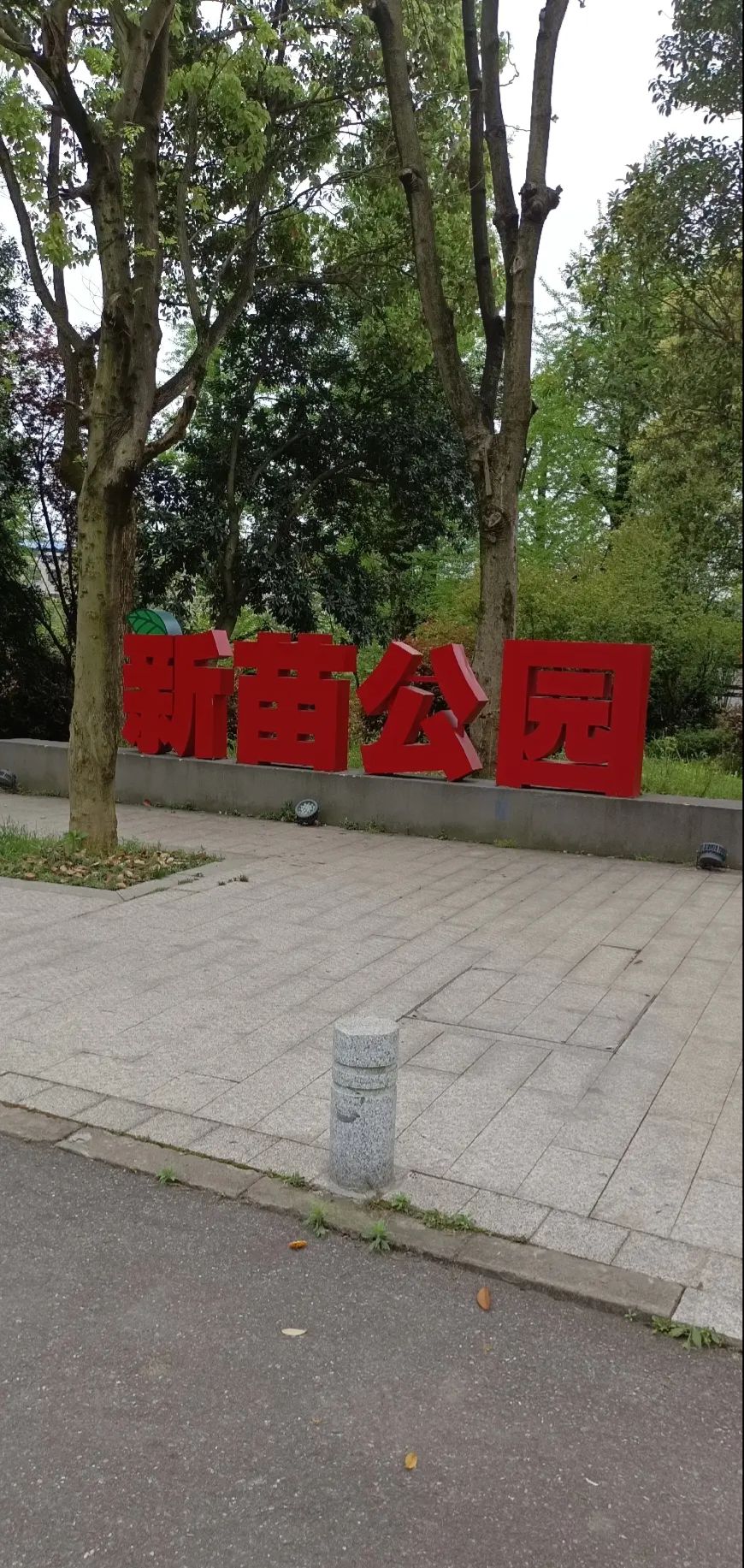 新苗公园旅行图片