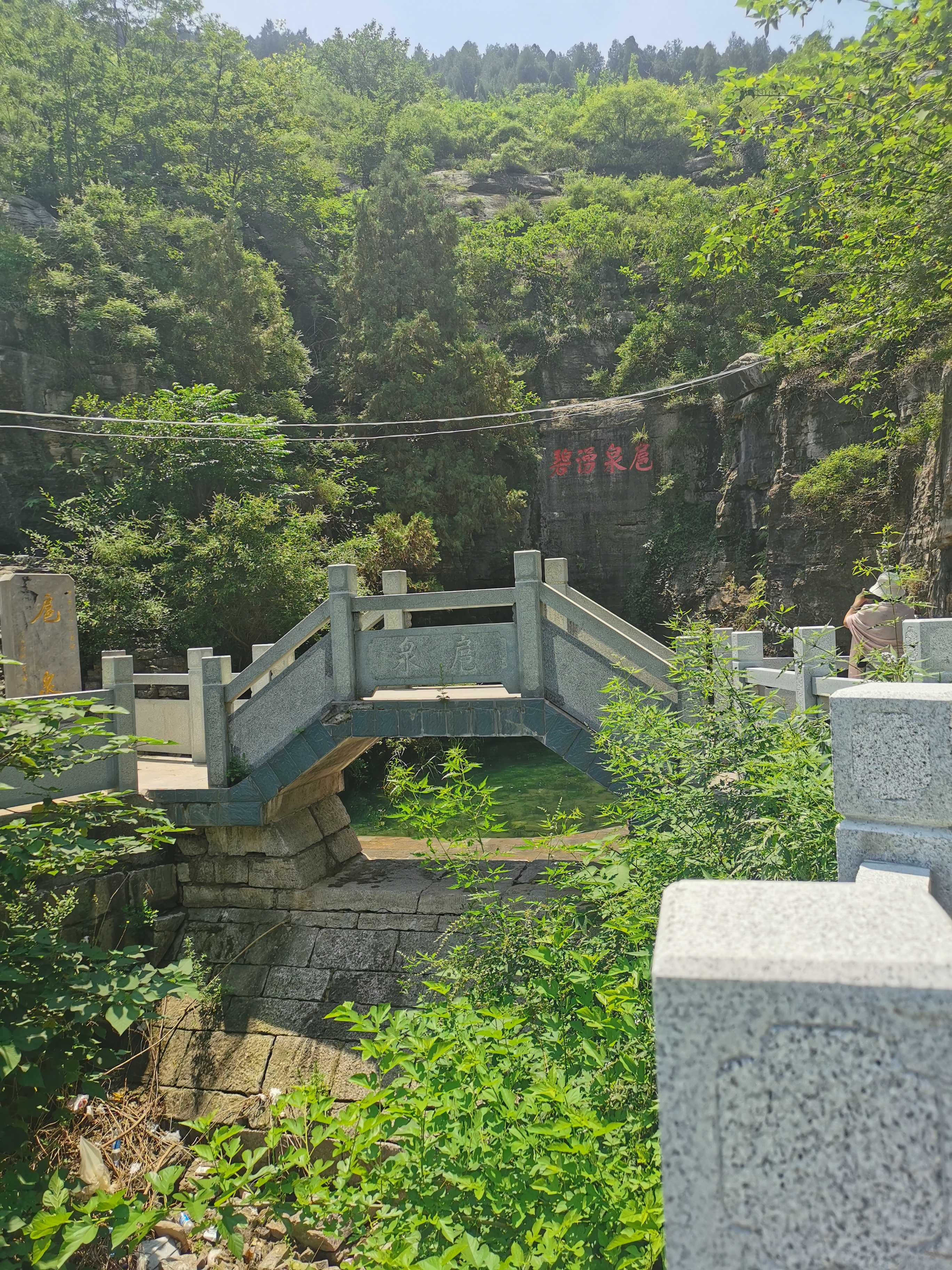 扈泉