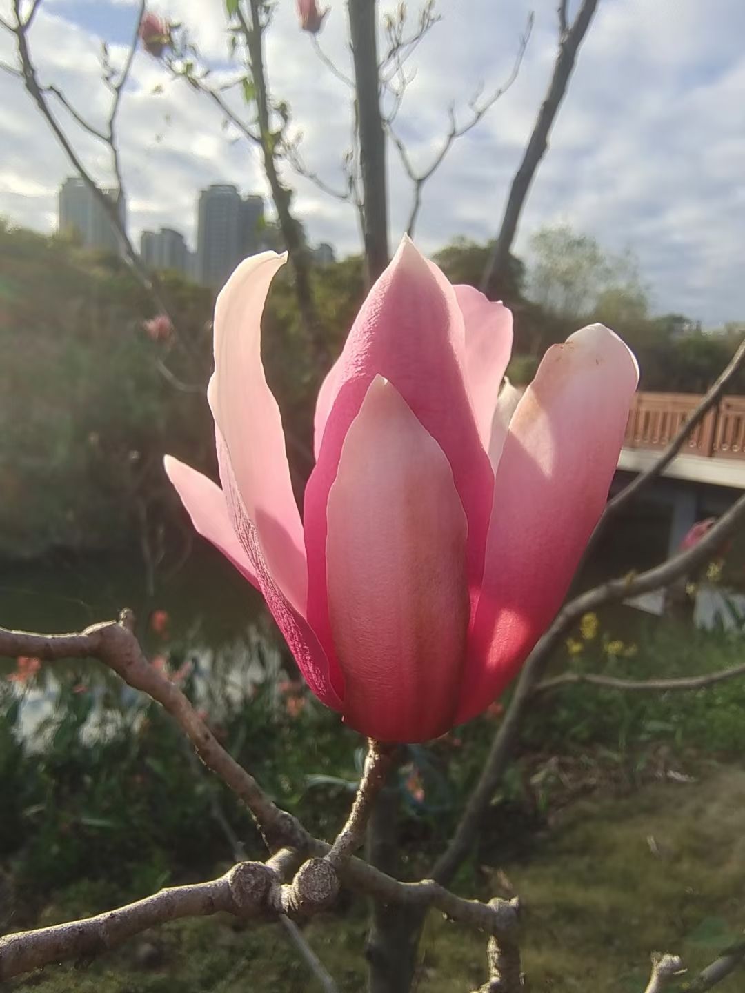 长利湖沙滩公园旅行图片 2
