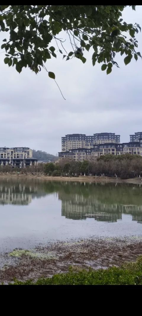 介溪湿地公园旅行图片 1