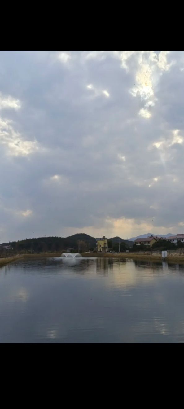介溪湿地公园旅行图片 2
