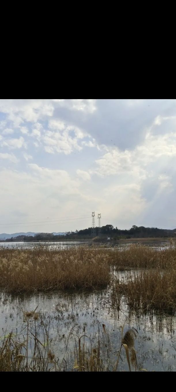 介溪湿地公园旅行图片 3