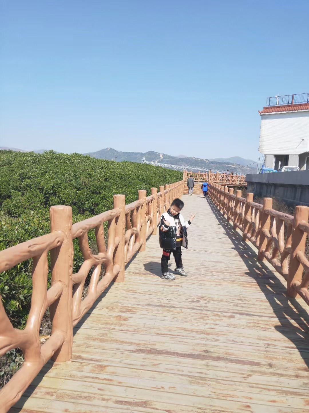 龙港市红树林省级湿地公园旅行图片 1
