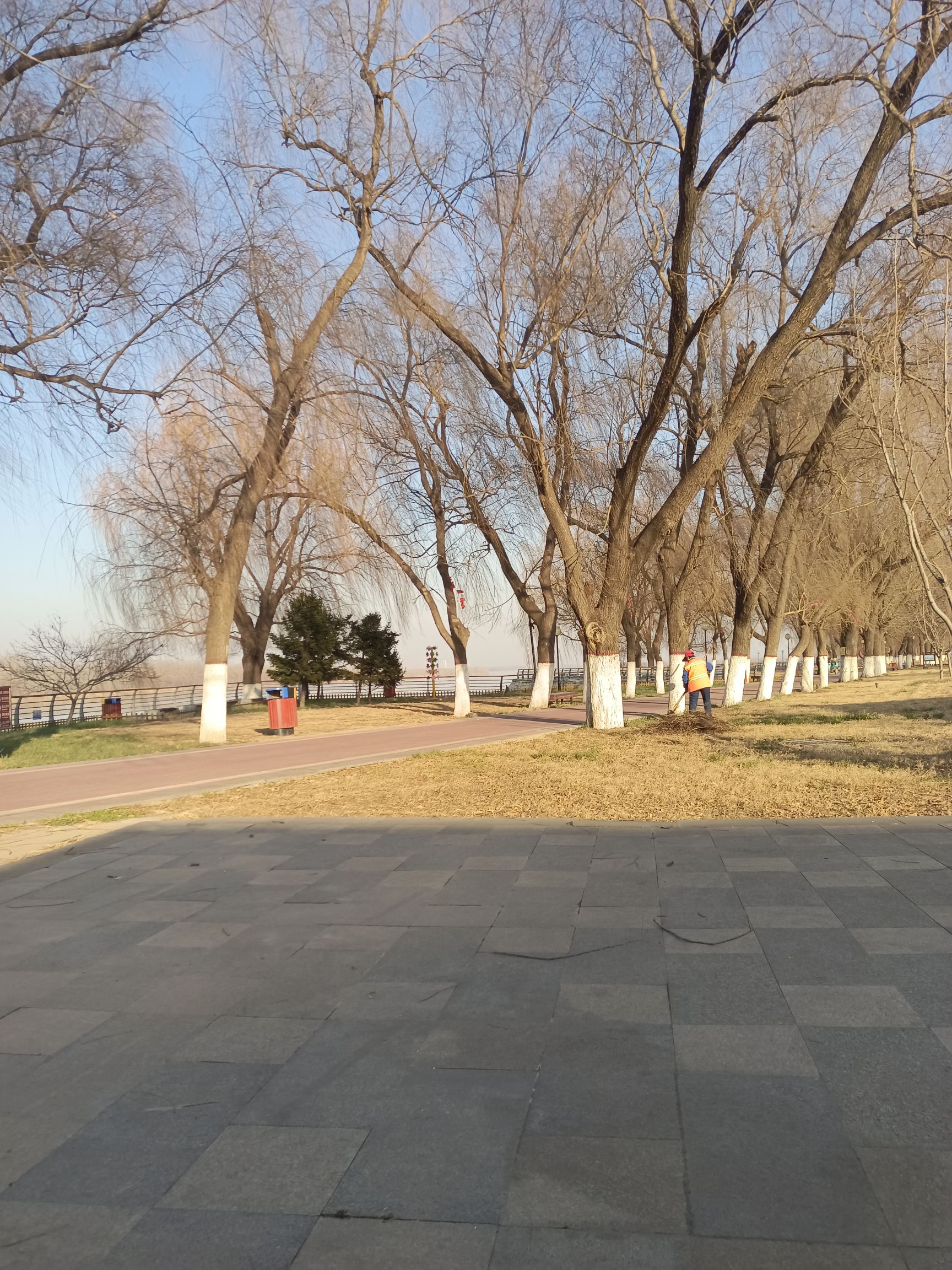 黄河公园旅行图片 3