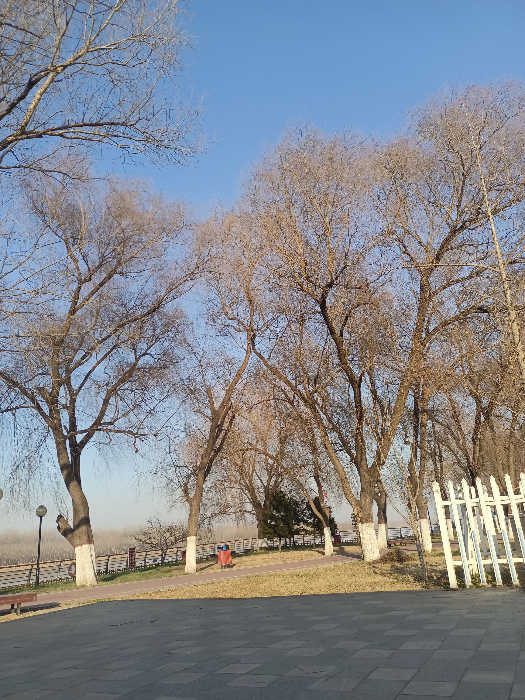 黄河公园旅行图片 2