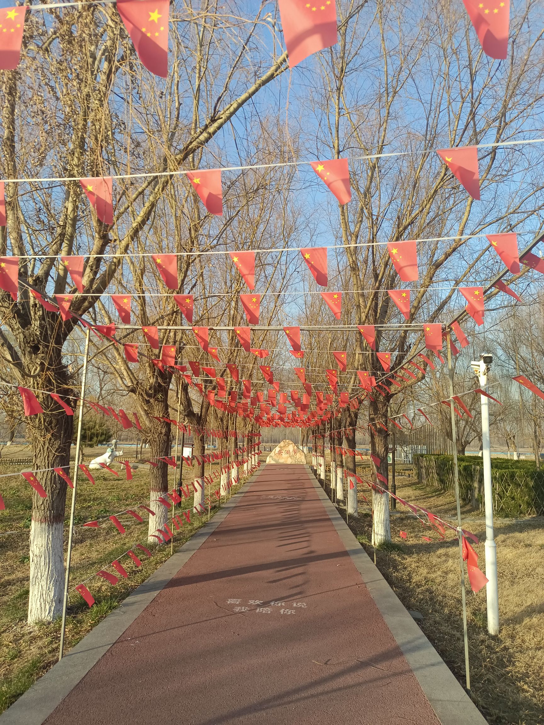 黄河公园旅行图片 1