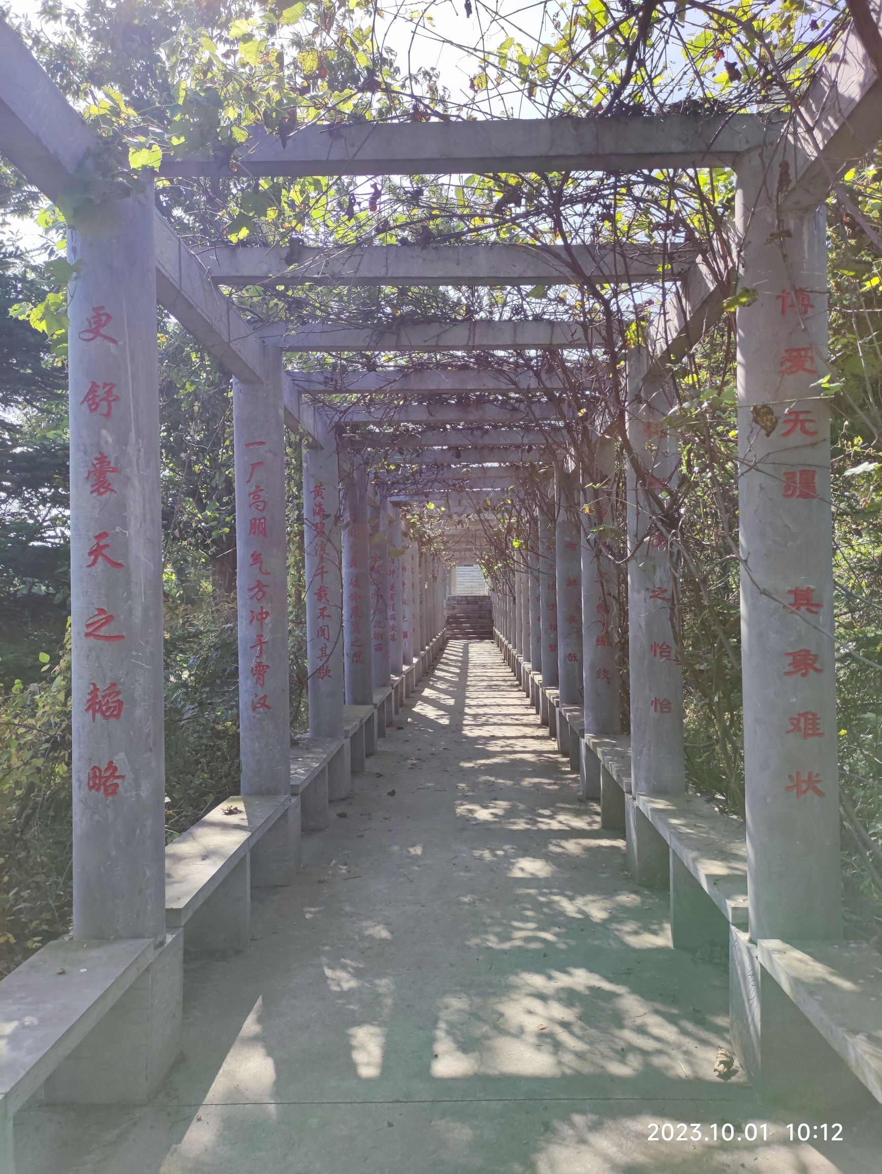 岚山宜景园旅行图片 2