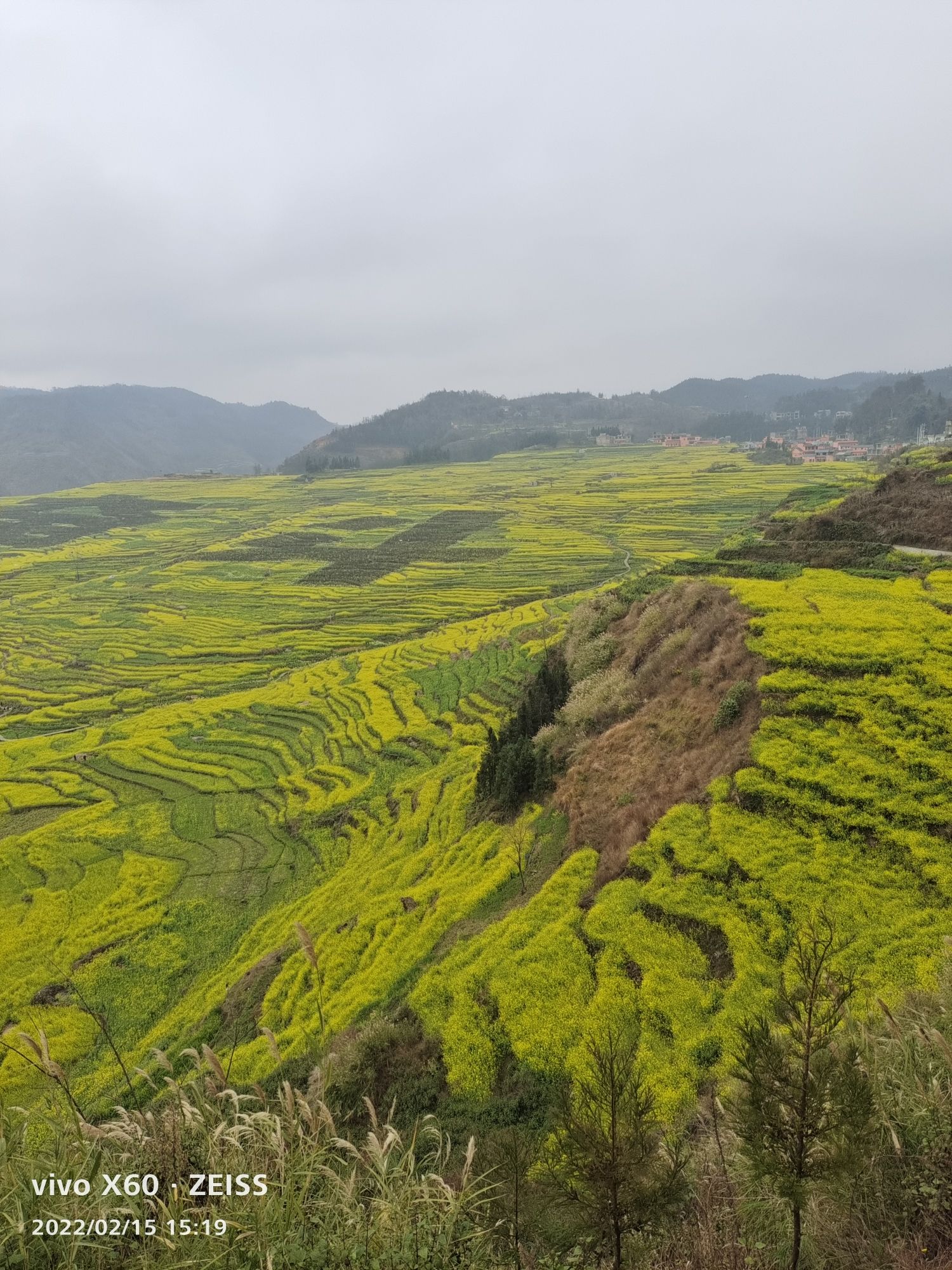 新民镇万亩梯田观景台旅行图片 1
