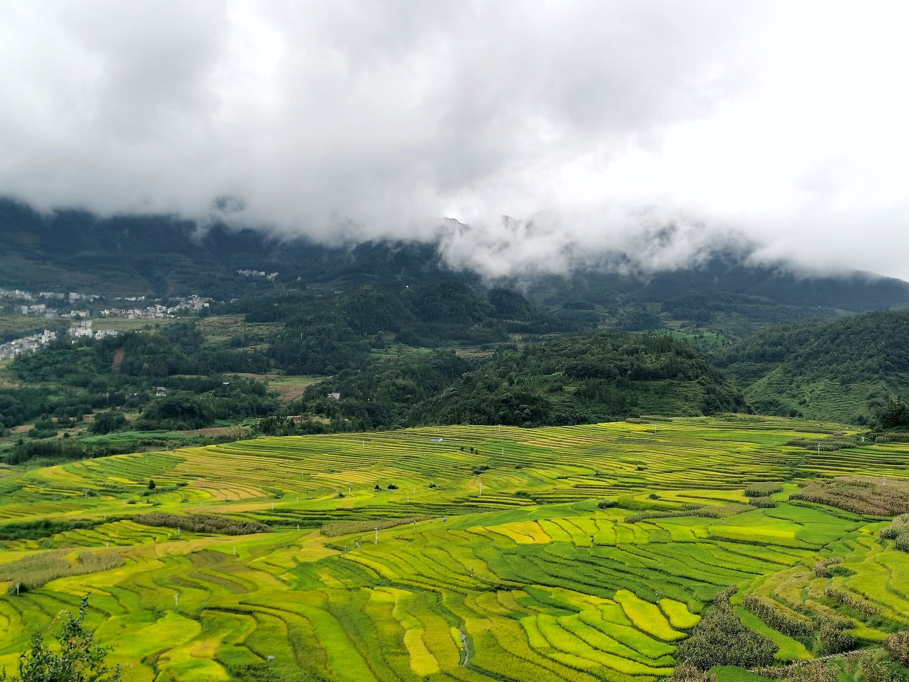 新民镇万亩梯田观景台旅行图片 2
