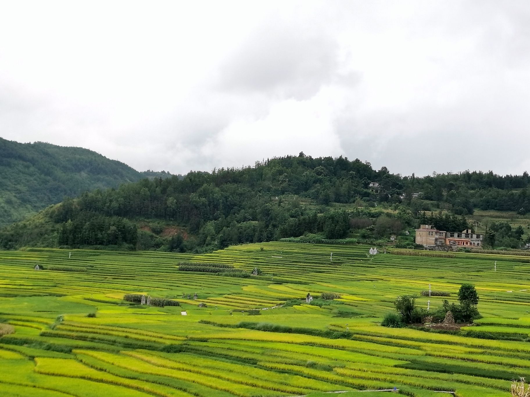 新民镇万亩梯田观景台旅行图片 3