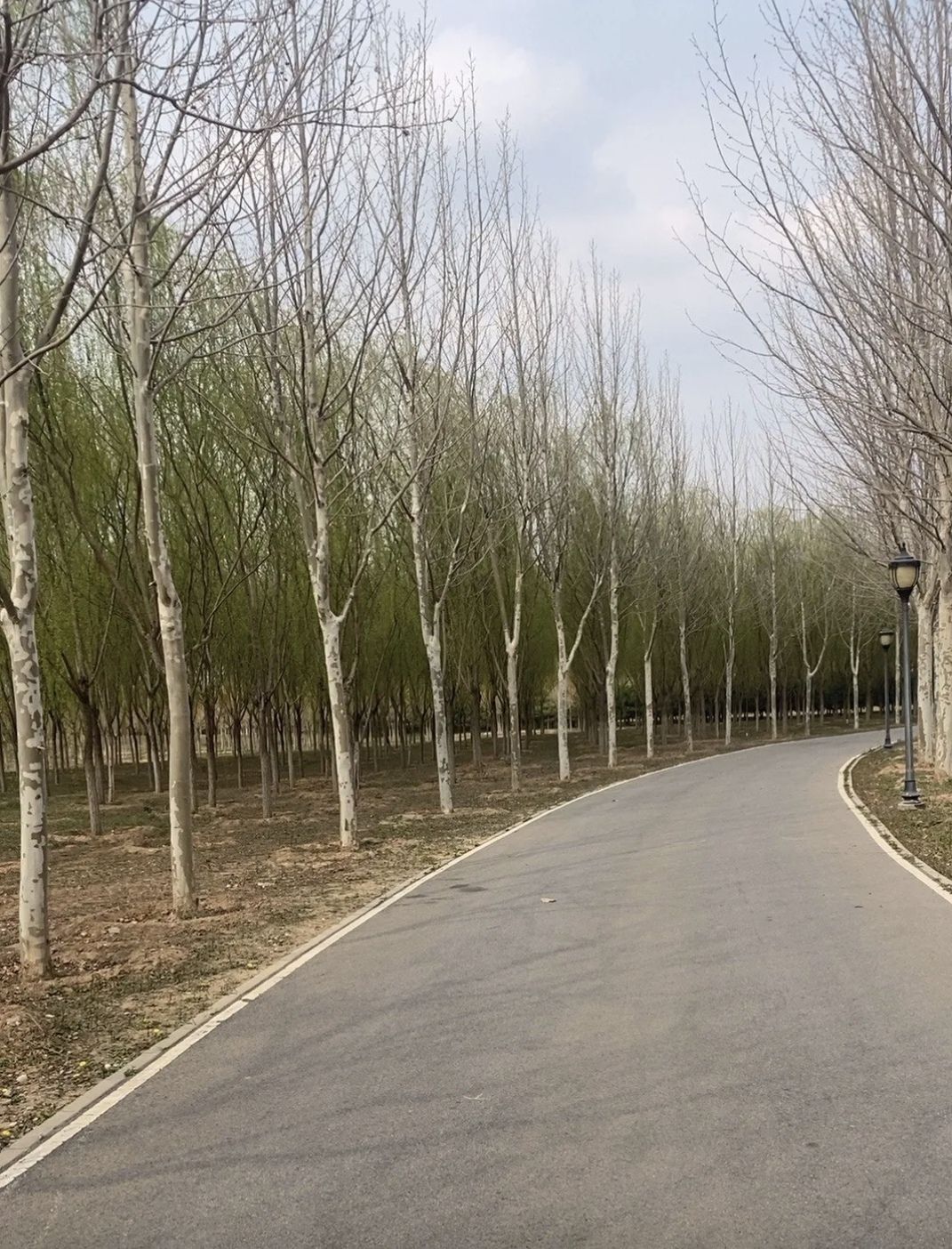 安定郊野公园旅行图片 3