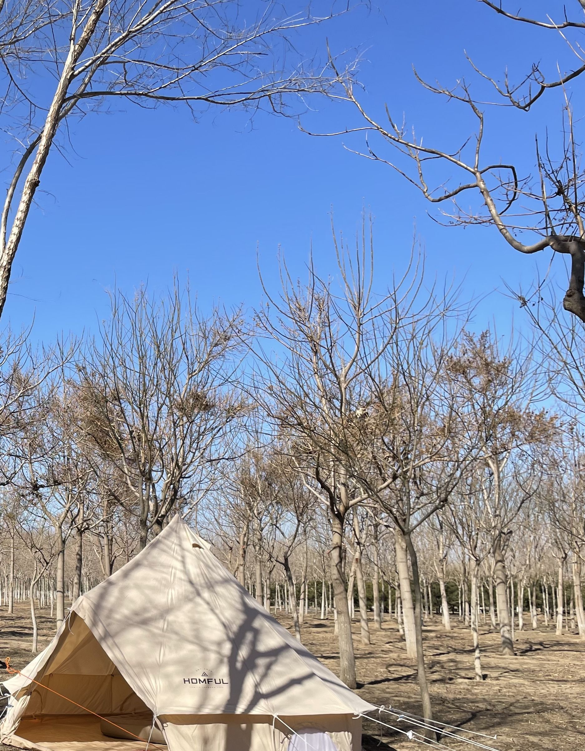 安定郊野公园旅行图片 1