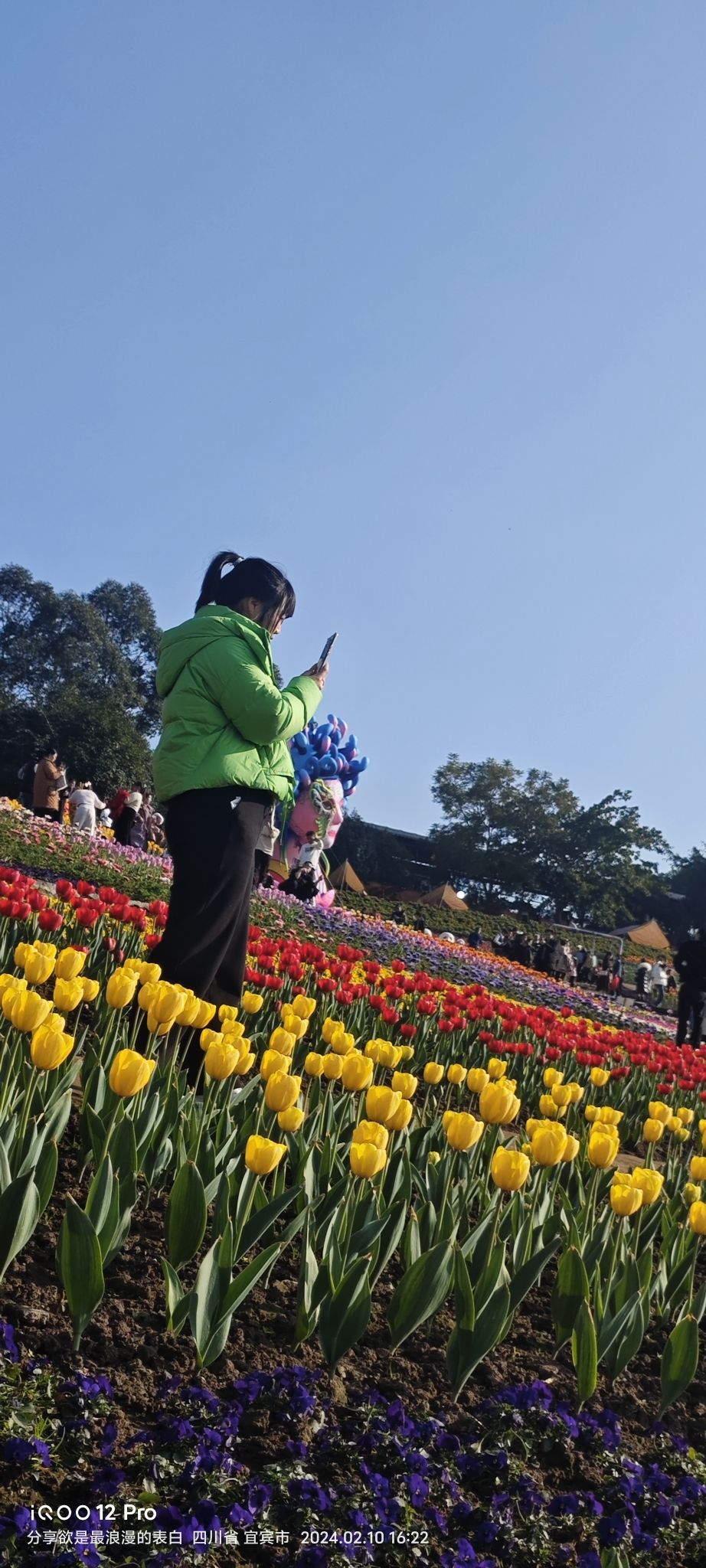 彩山旅行图片 2