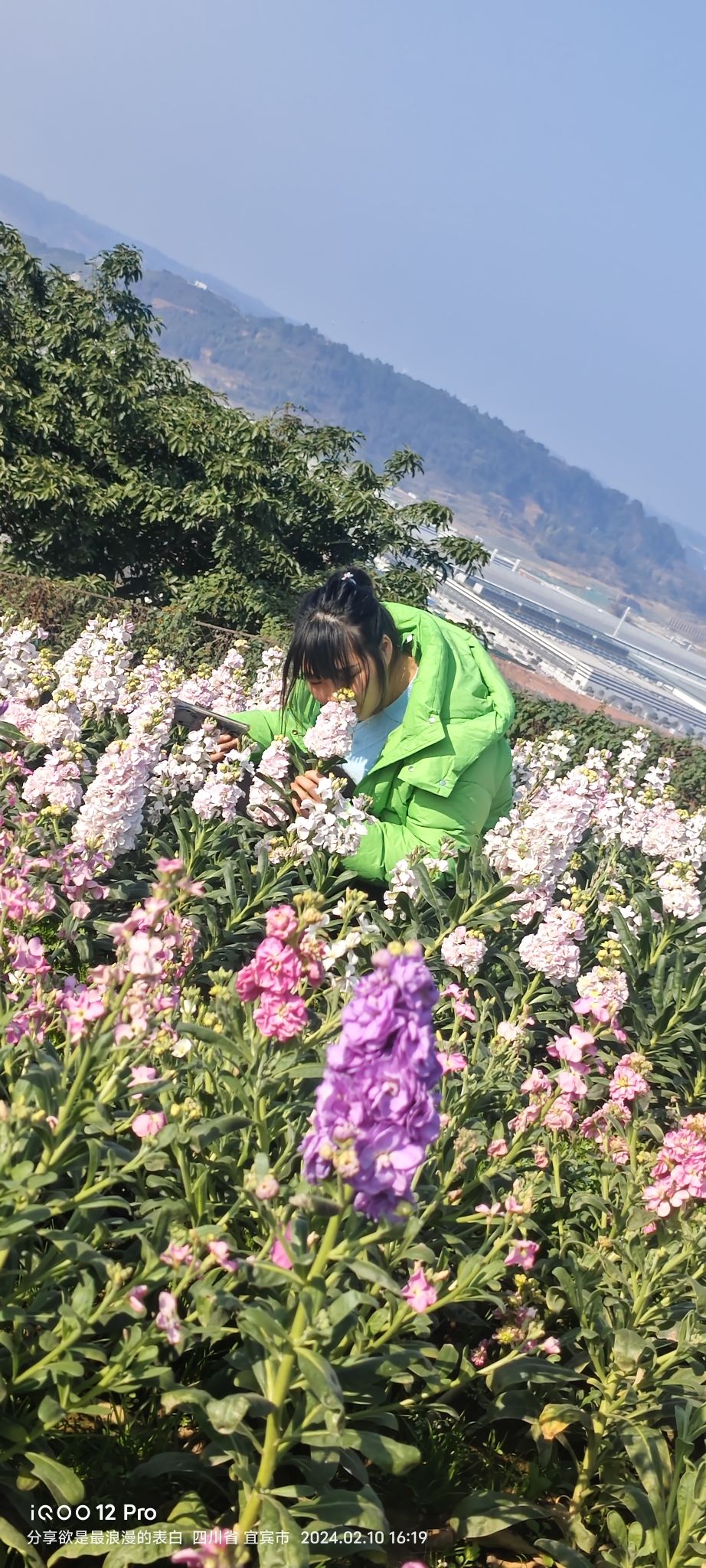 彩山旅行图片 3