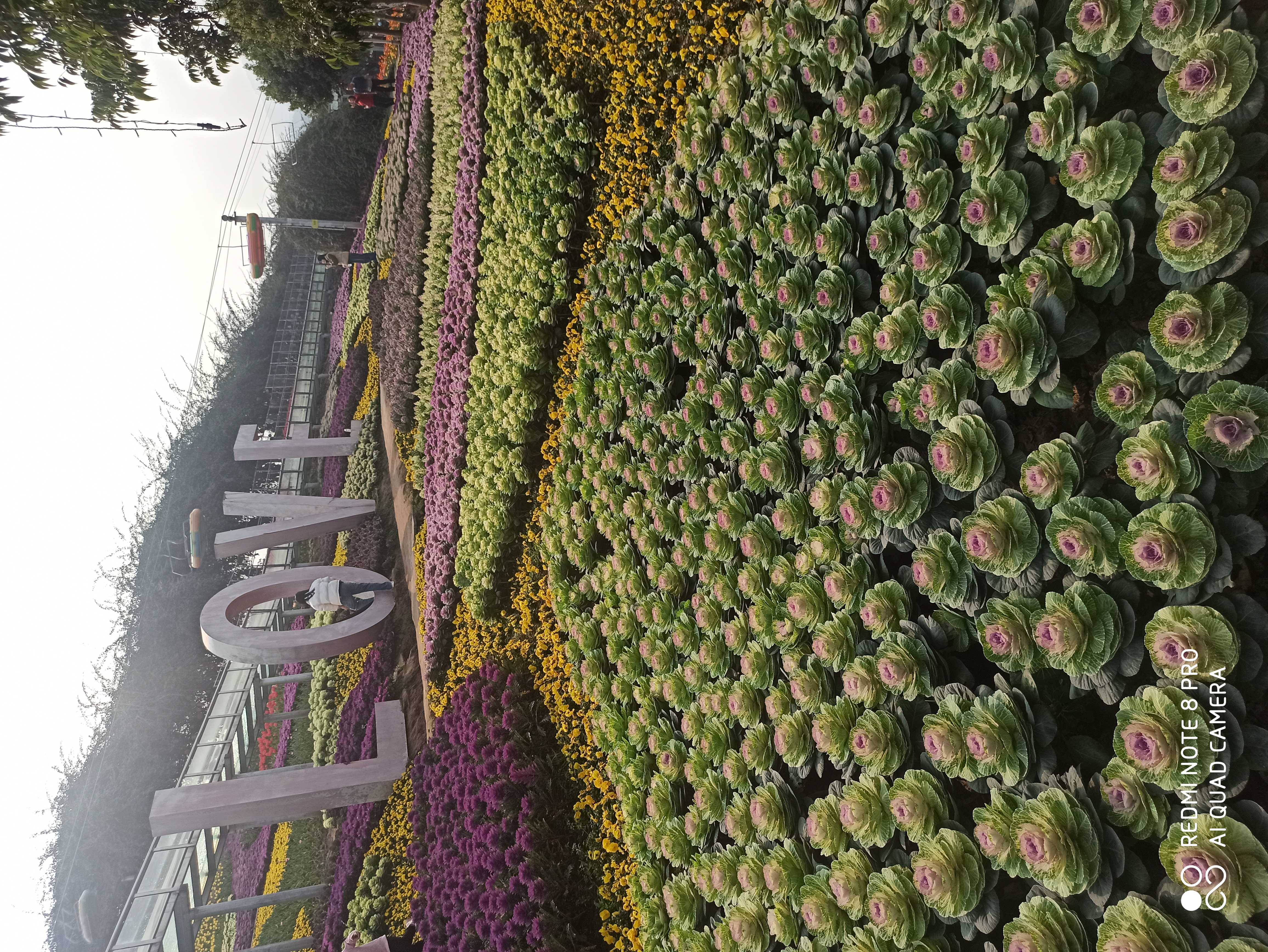 彩山旅行图片 2