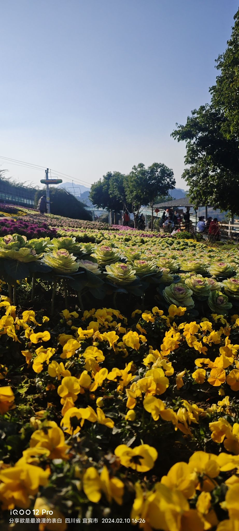 彩山旅行图片 1