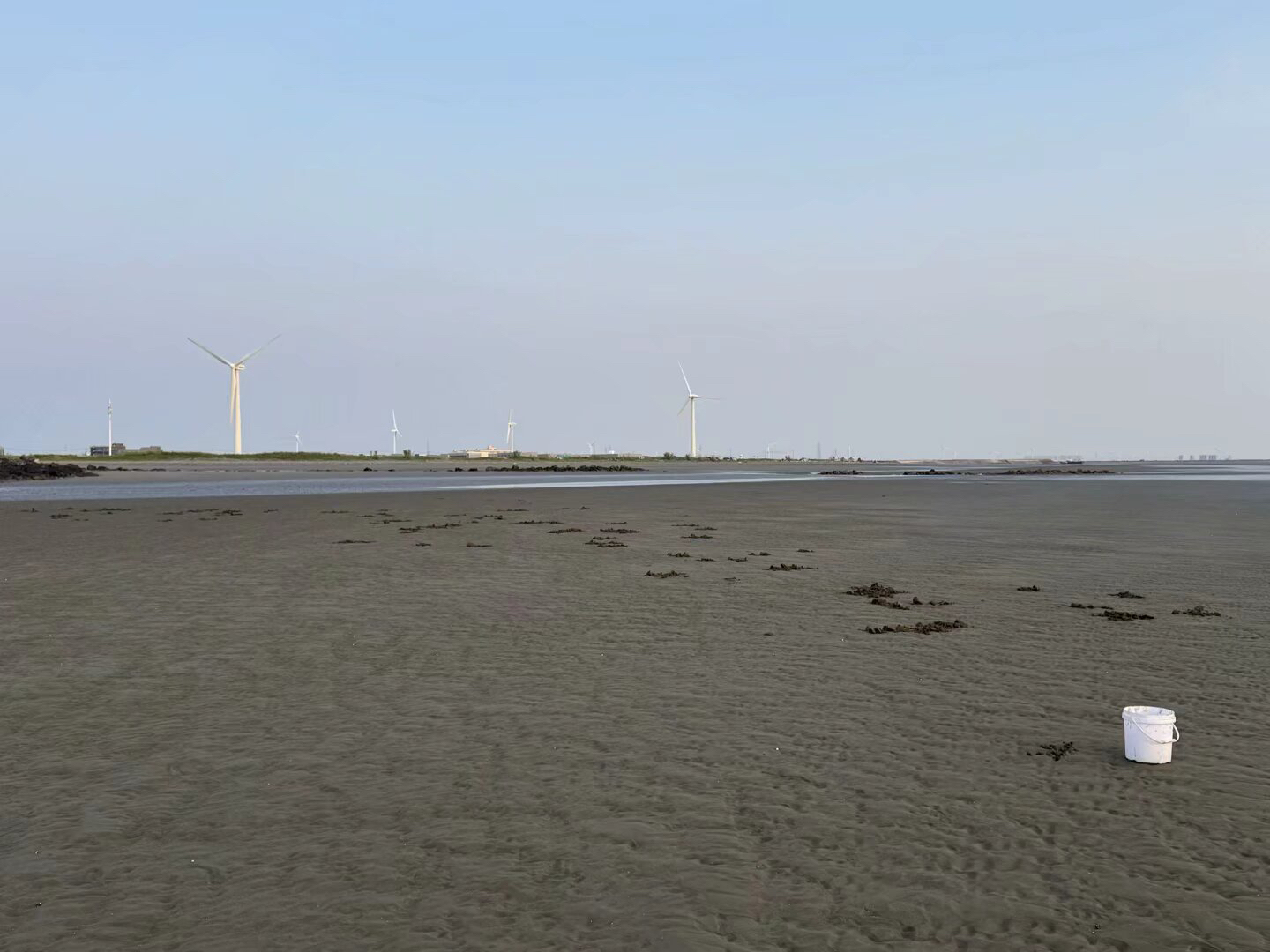 启东市东部海堤观潮台旅行图片 1