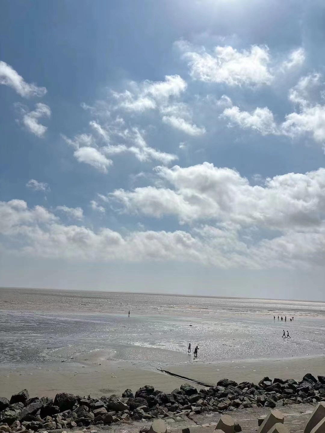 启东市东部海堤观潮台旅行图片 3