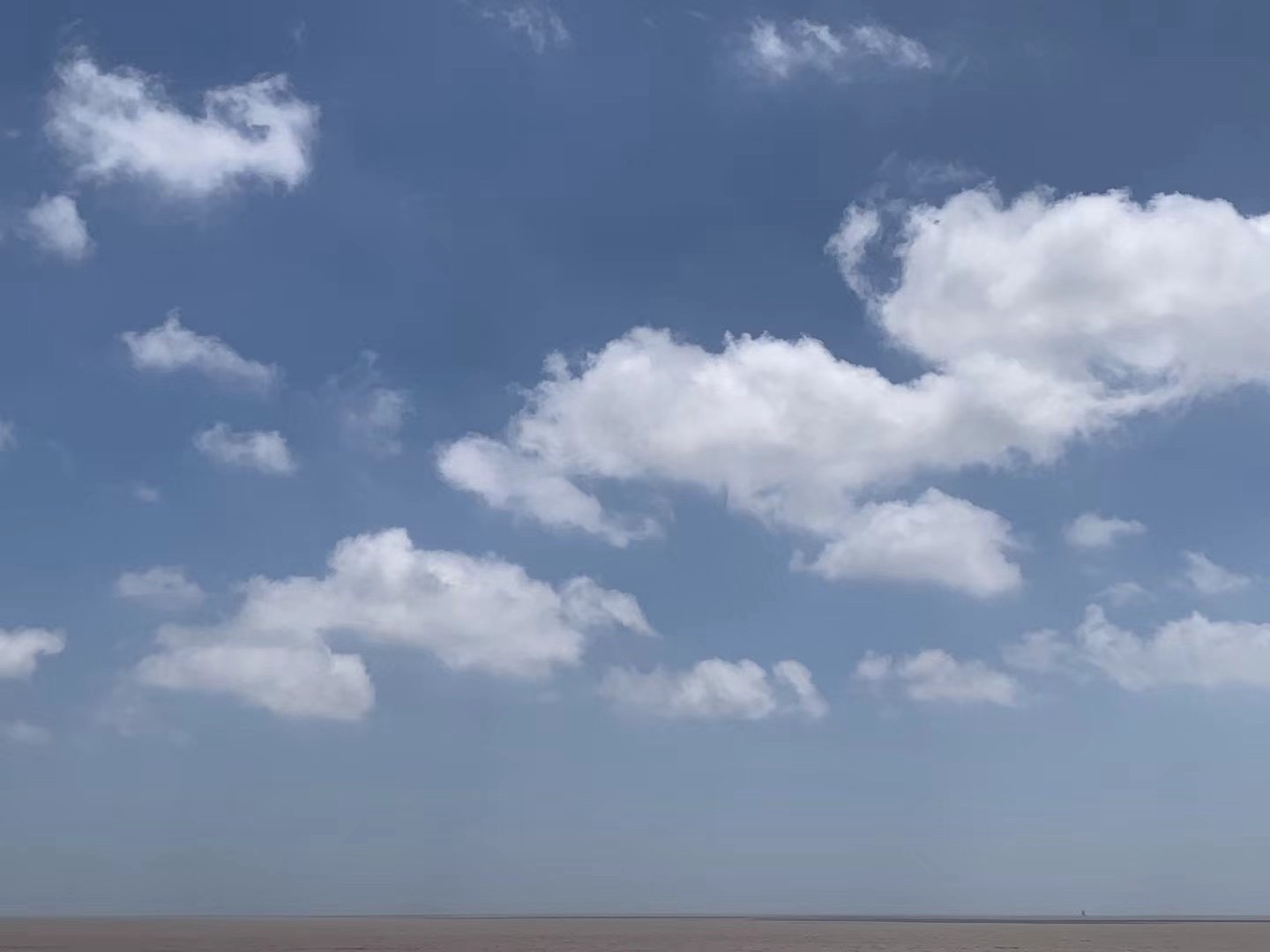 启东市东部海堤观潮台旅行图片 1