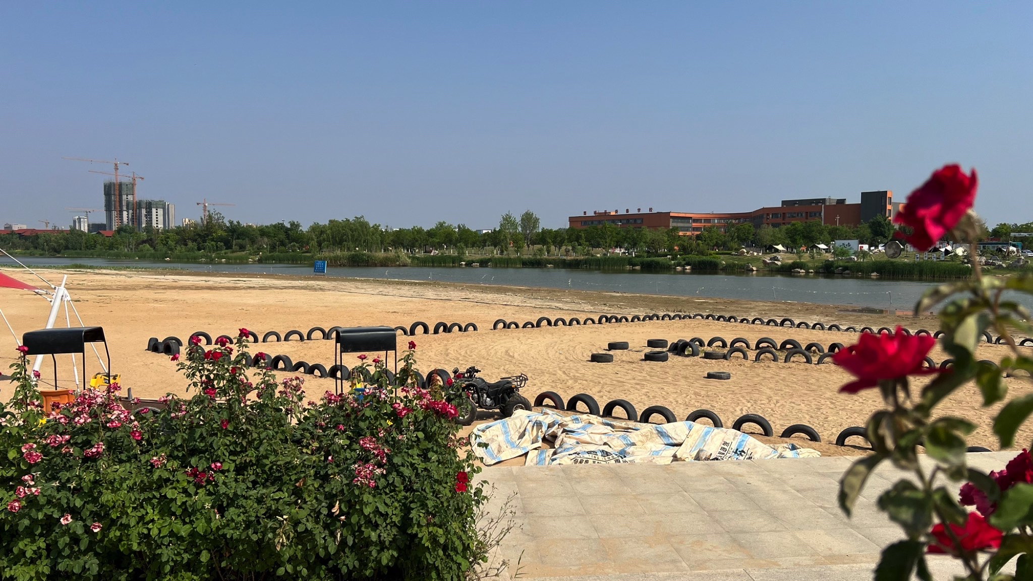 鄄城濮水湿地公园旅行图片 3