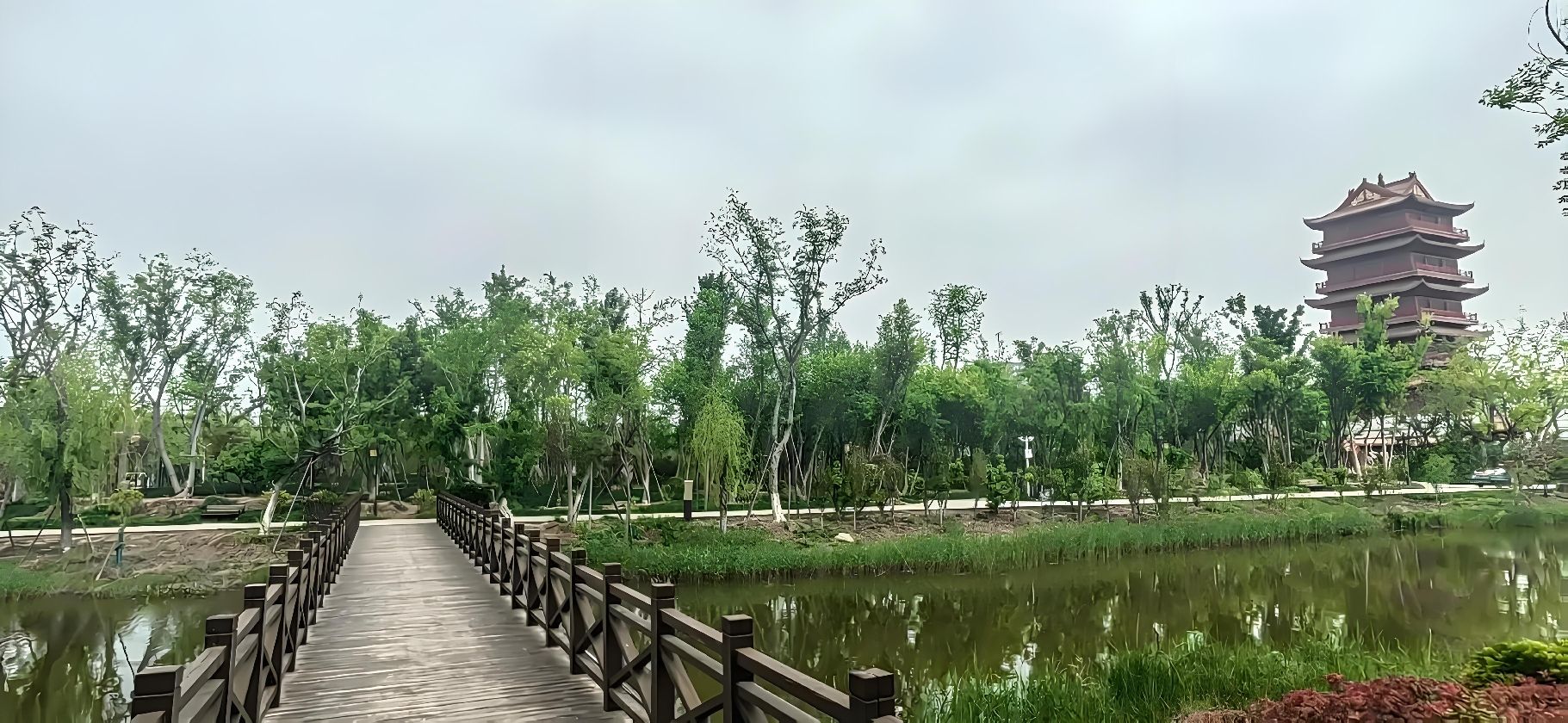 鄄城濮水湿地公园旅行图片 2
