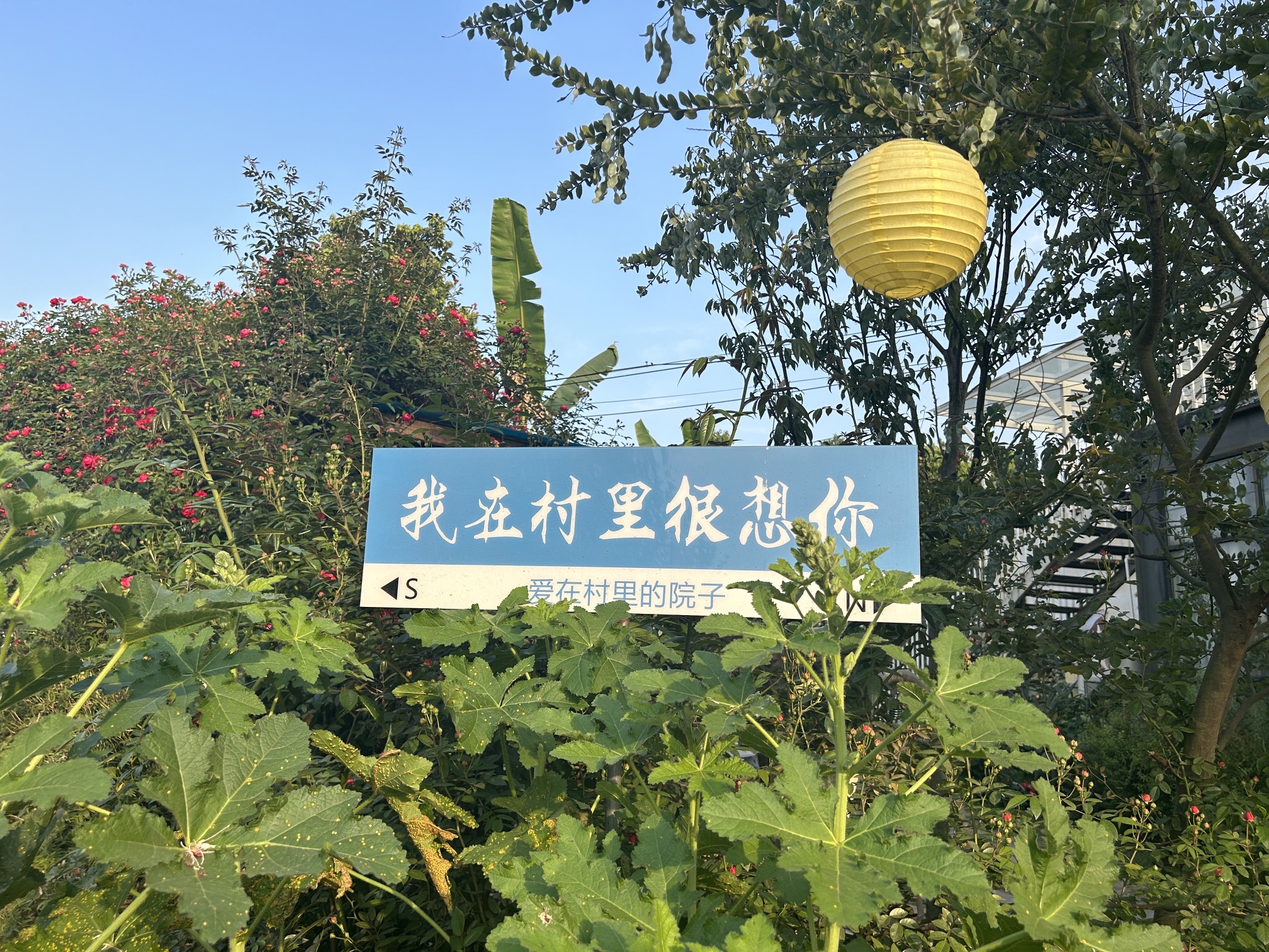 场地封面-村里的院子