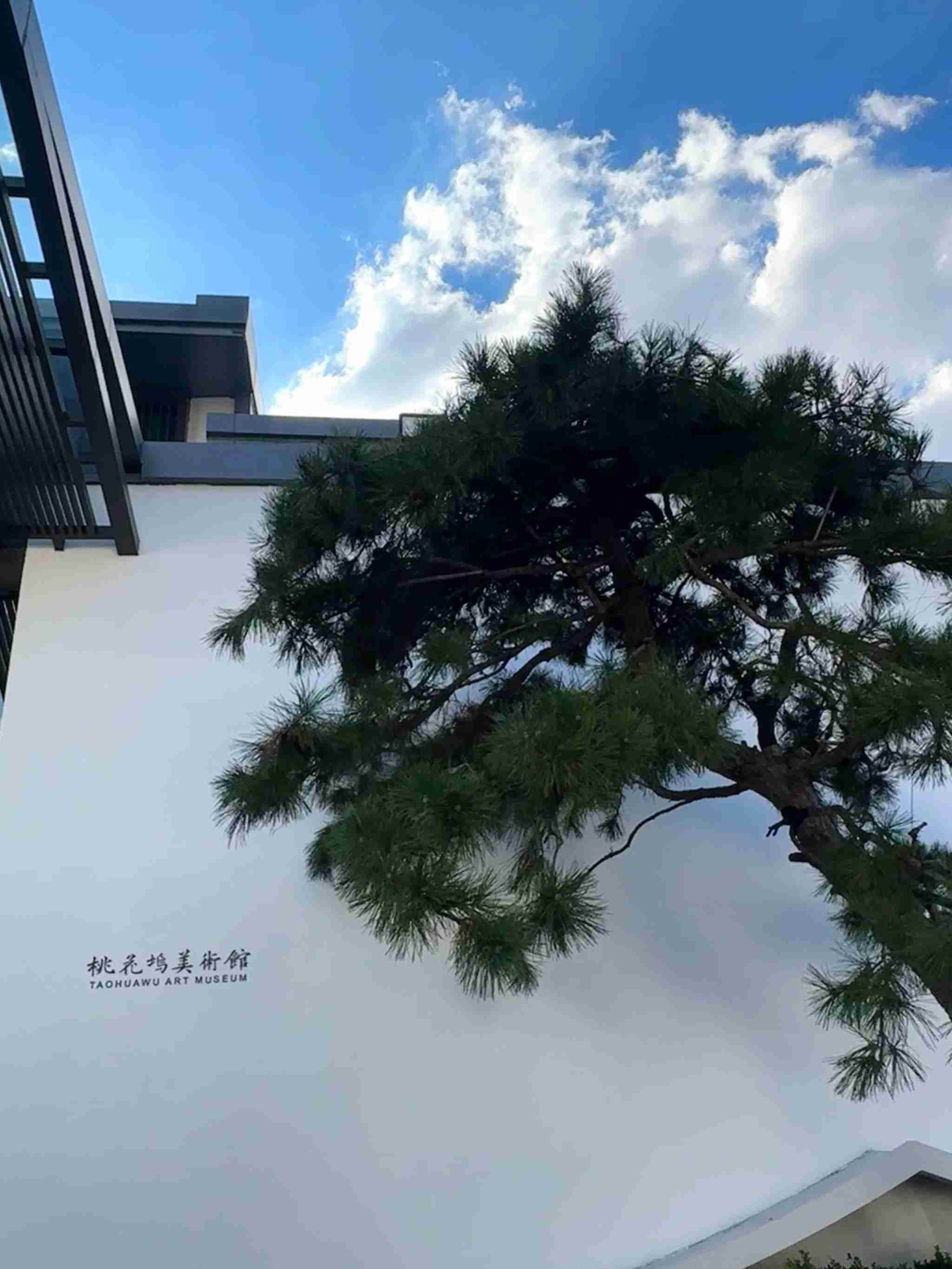 苏州桃花坞历史文化片区旅行图片 2