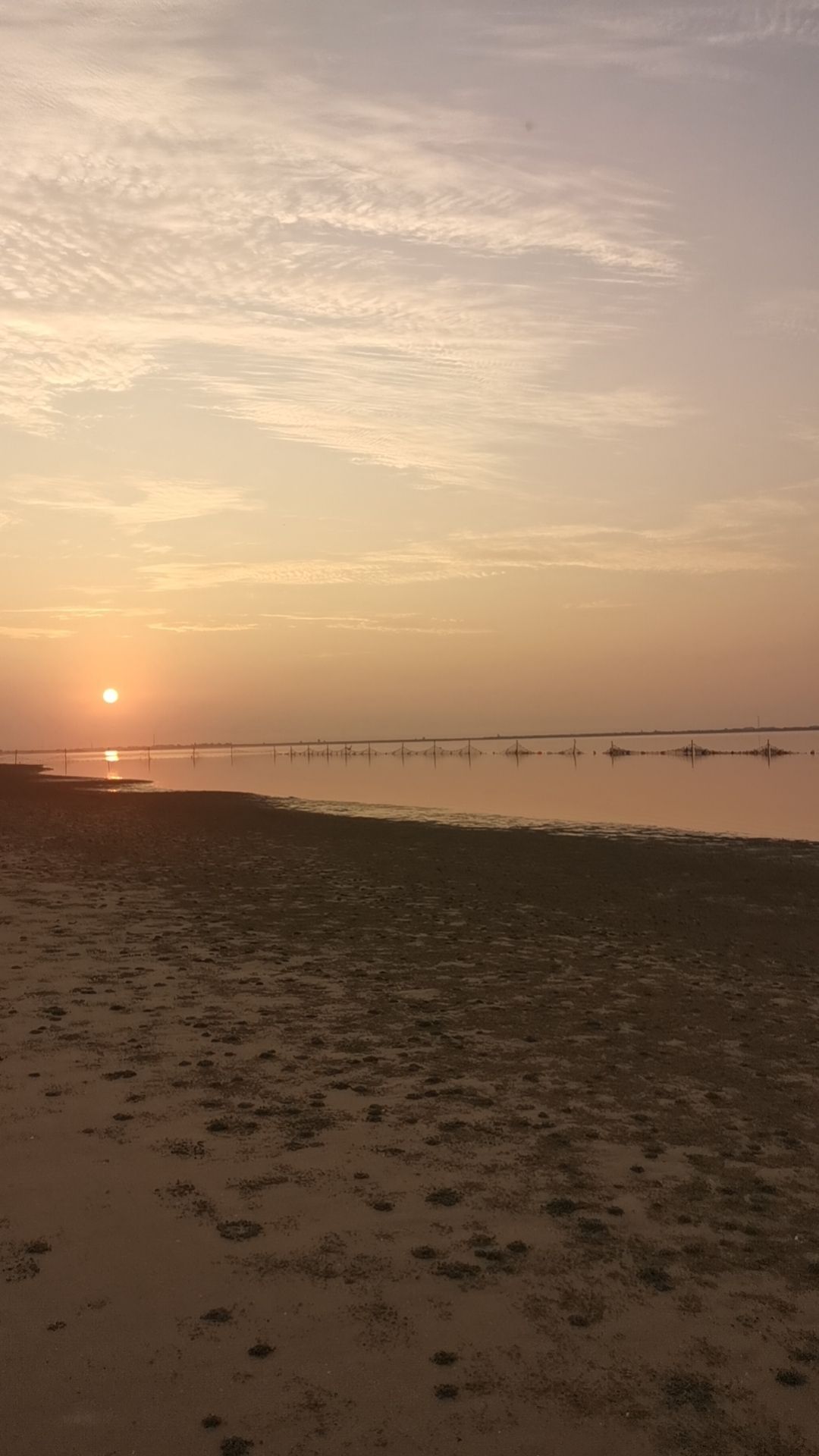 唐山湾沙滩旅行图片 3