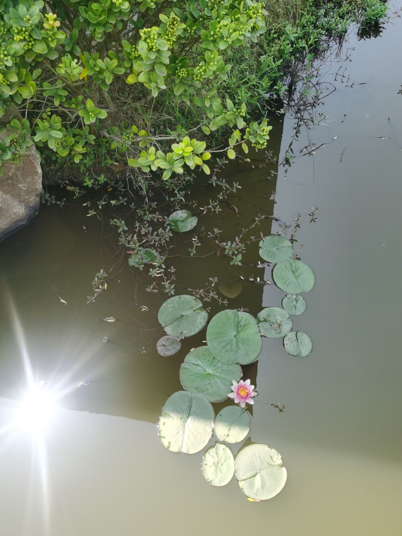 鼎新公园旅行图片 3