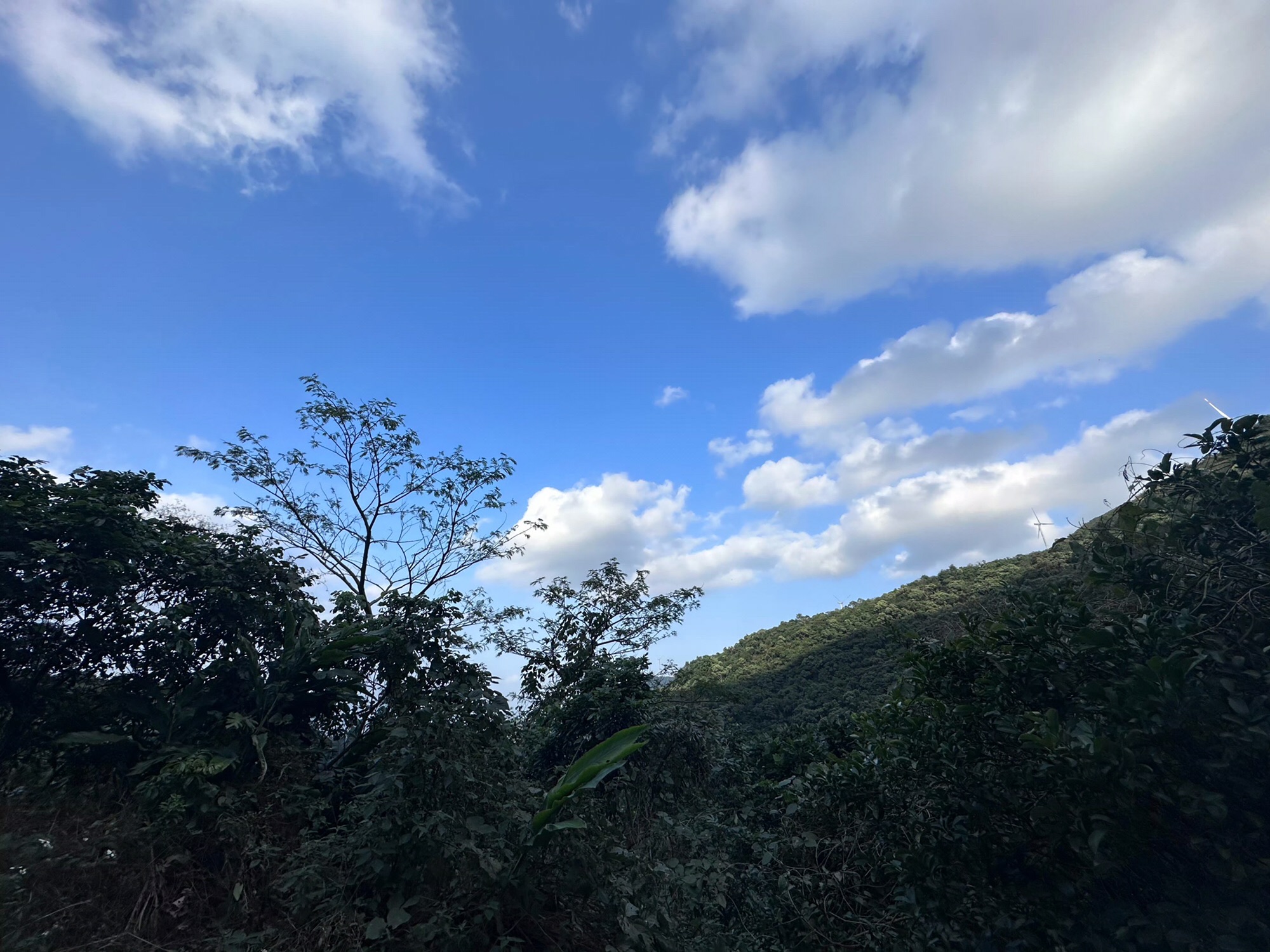 浮山岭风景区旅行图片 3