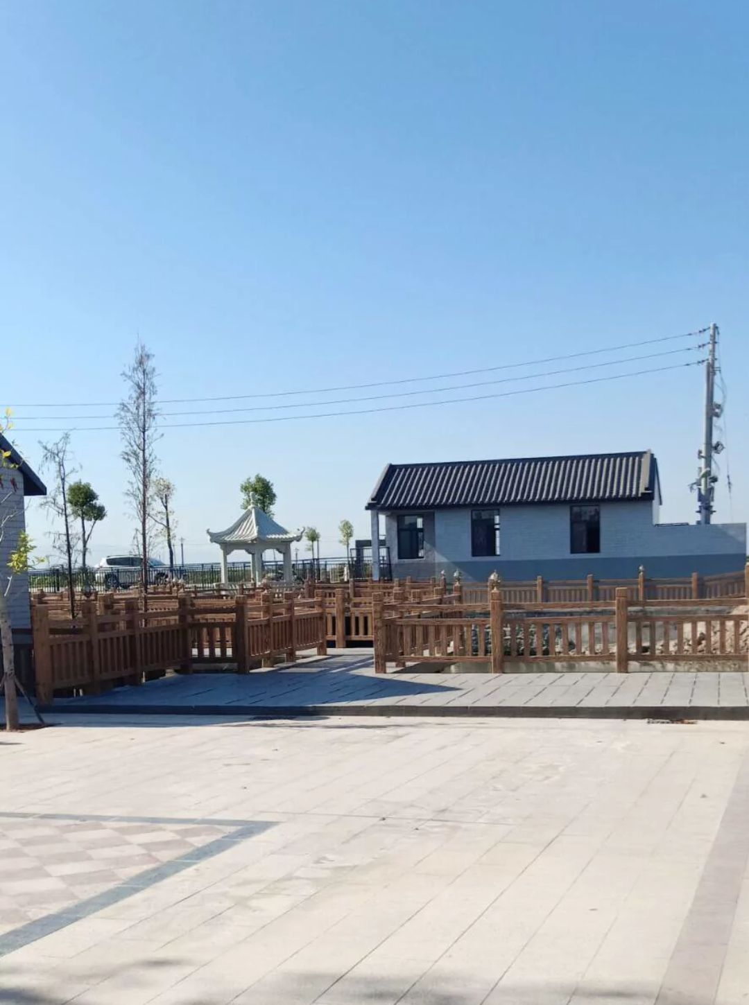 梅花湿地公园旅行图片 3