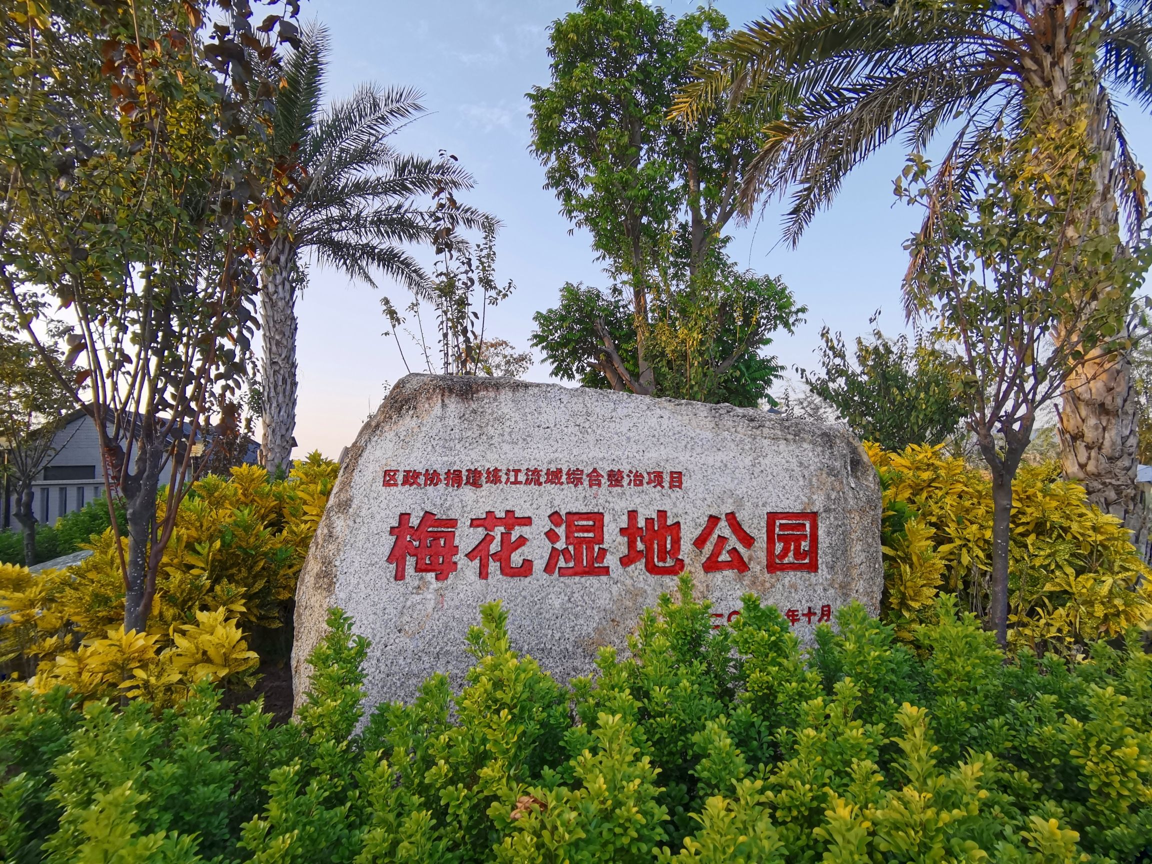 梅花湿地公园旅行图片 1