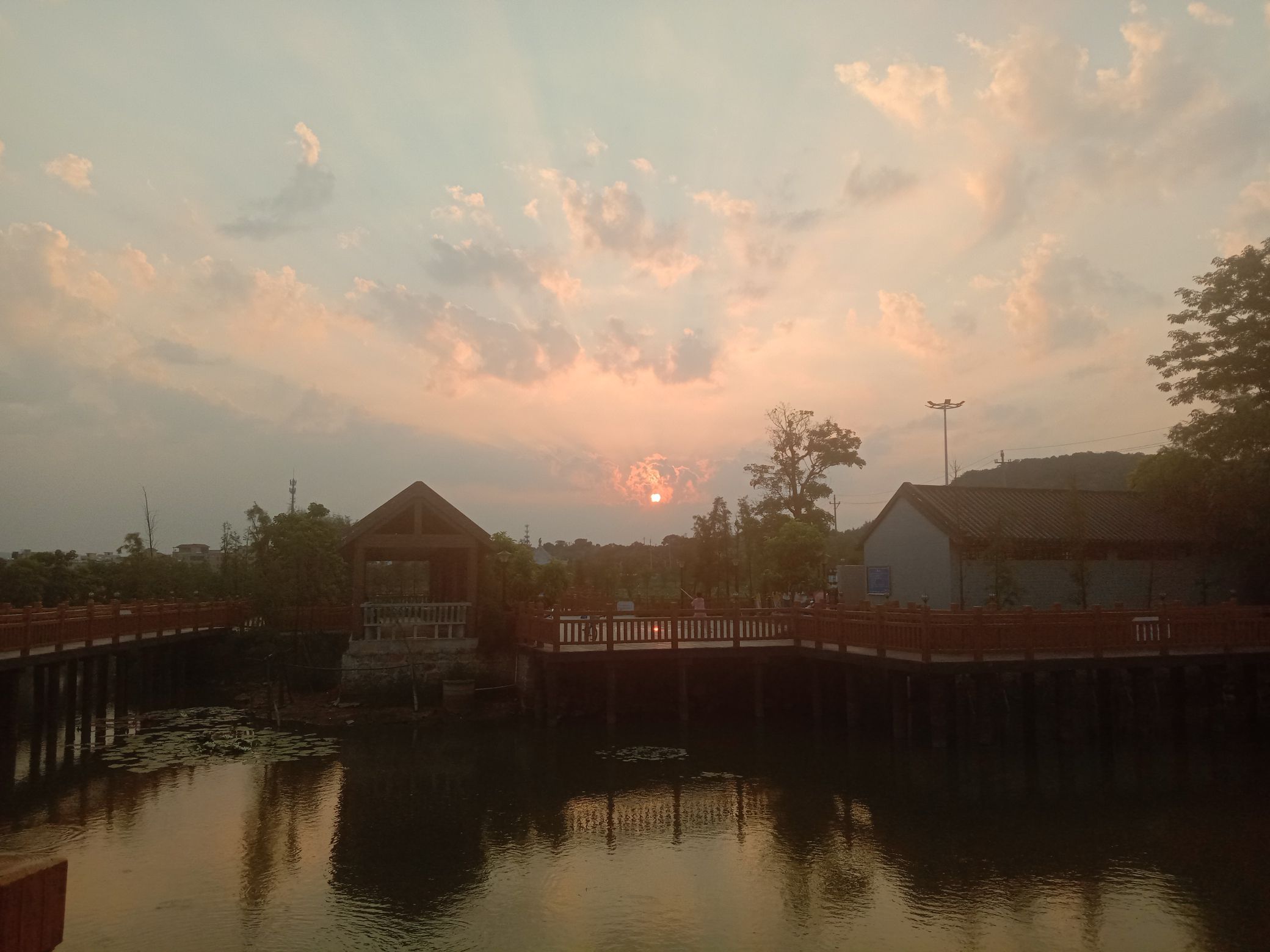 梅花湿地公园旅行图片 1
