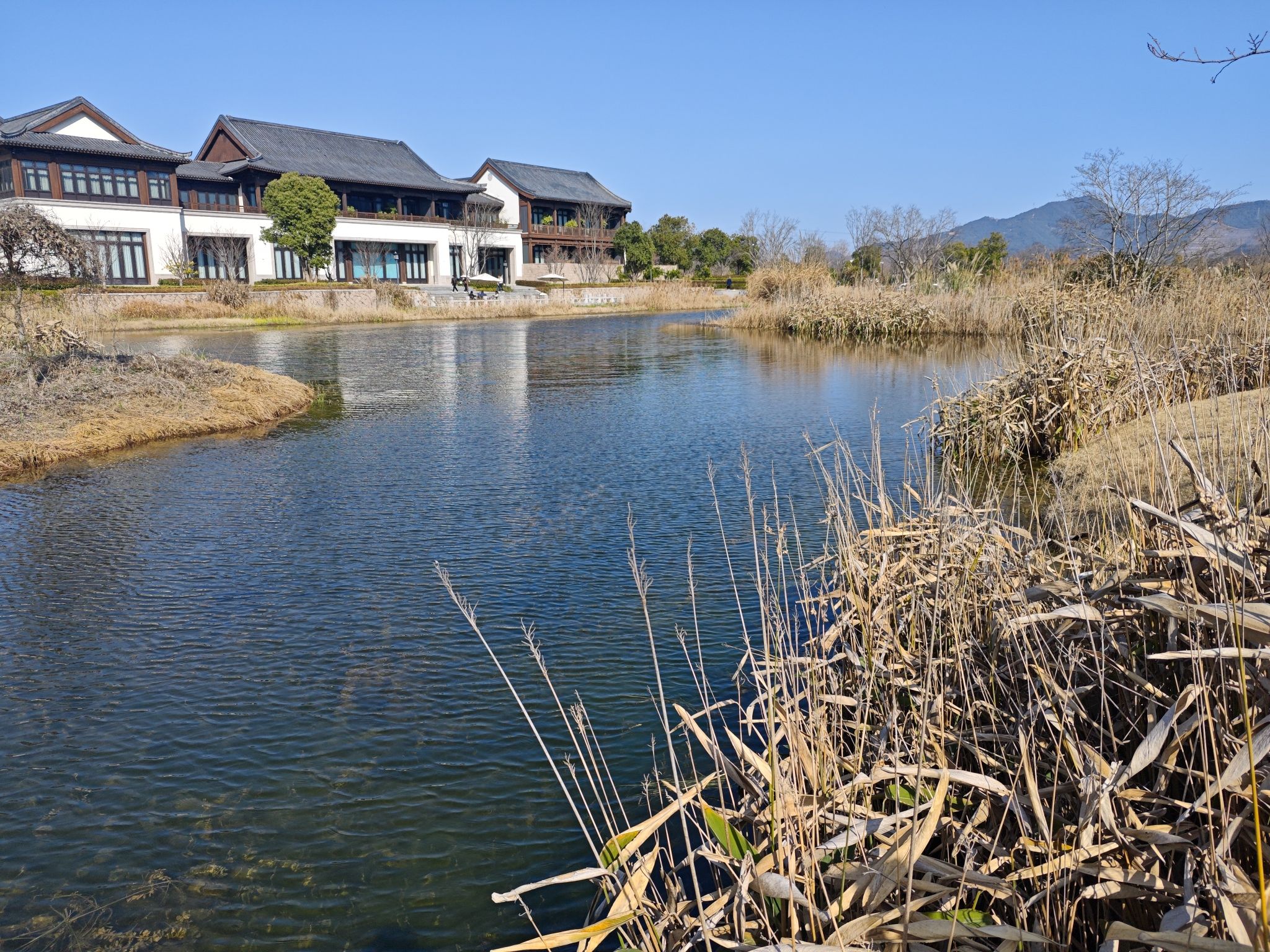鉴洋湖城市湿地公园