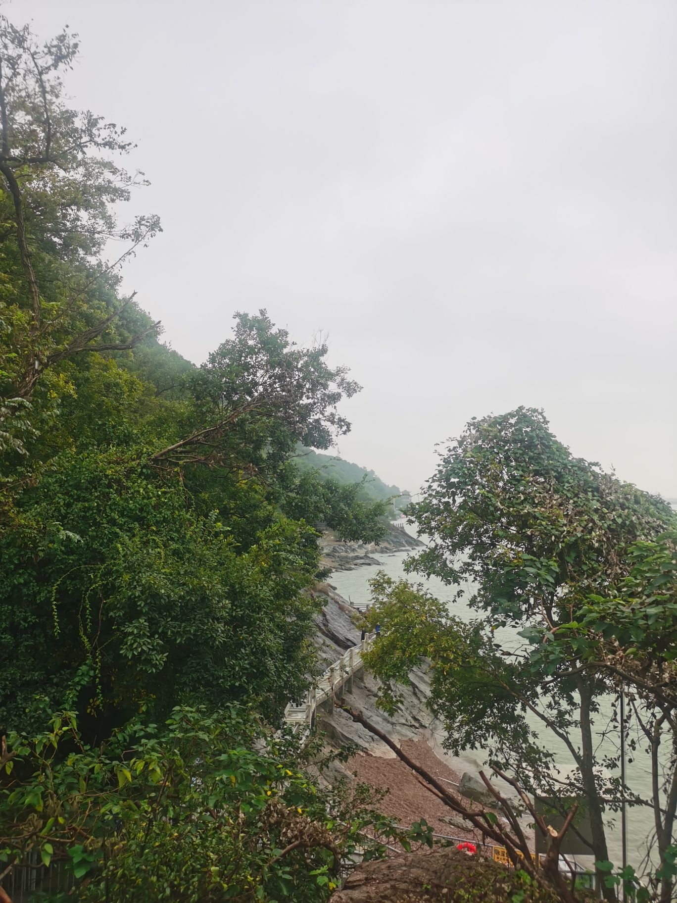 船厂公园旅行图片 2