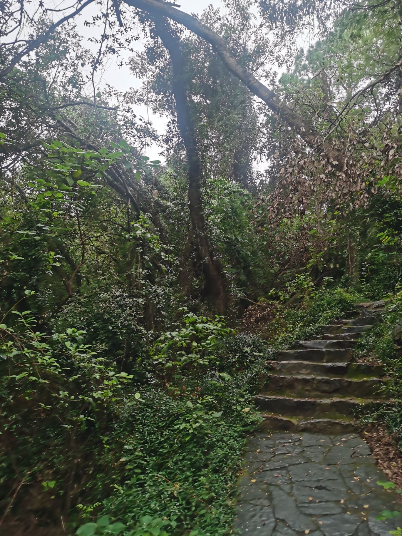 船厂公园旅行图片 1