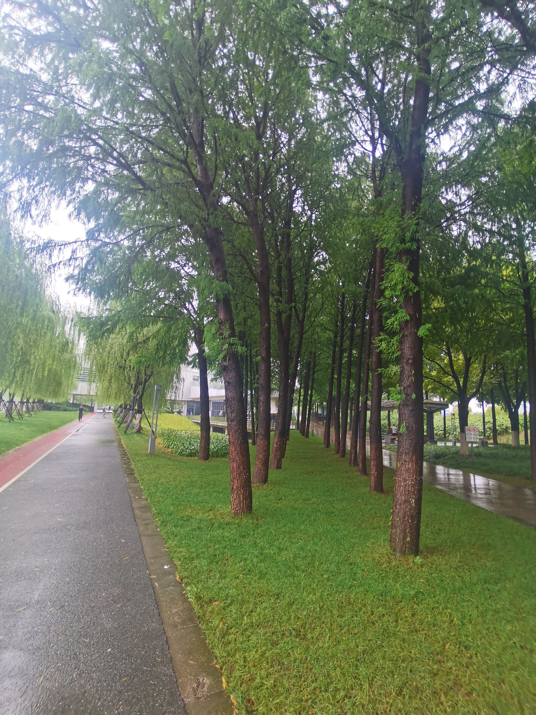 船厂公园旅行图片 3