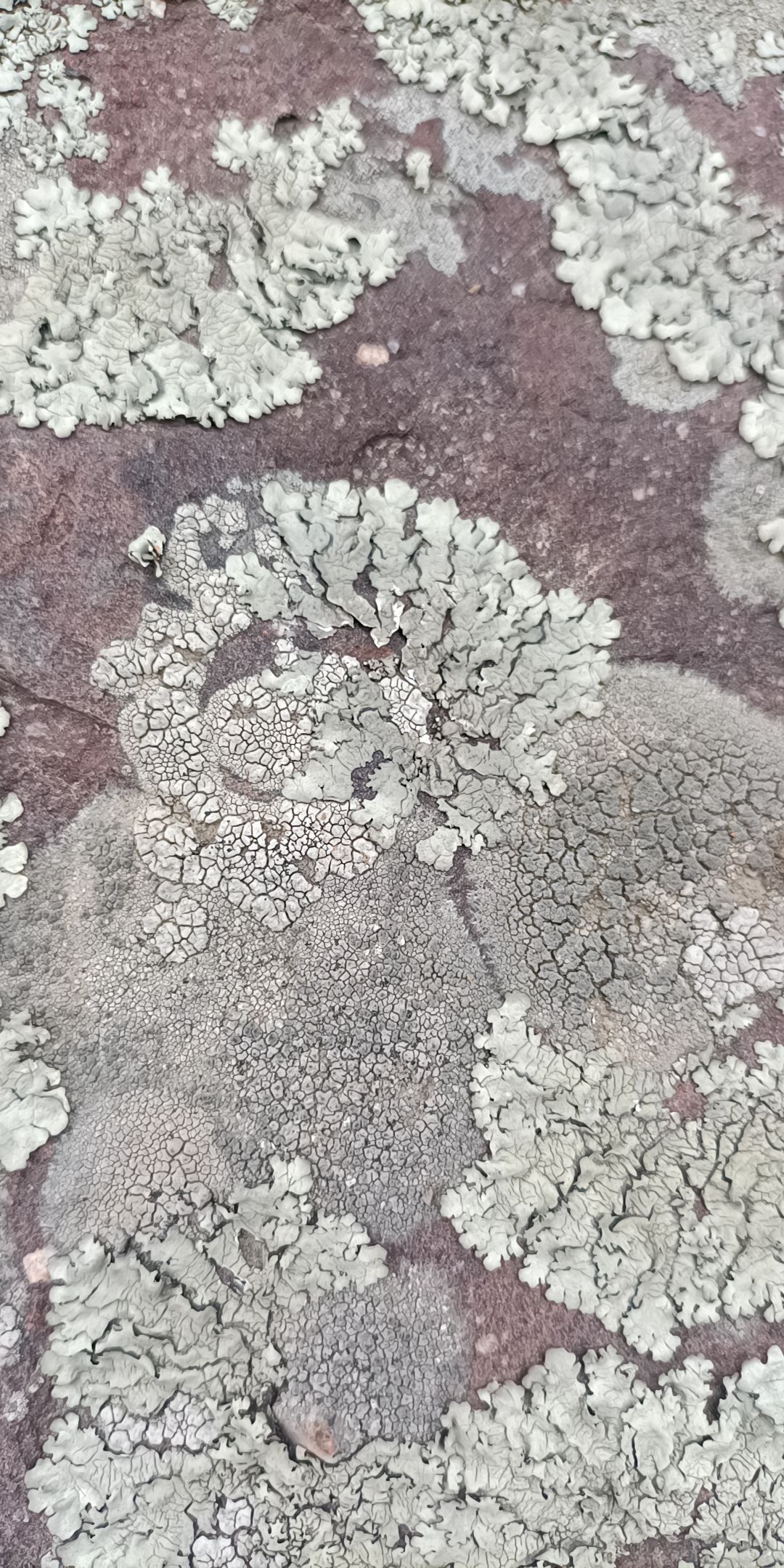 天雄古寨旅行图片