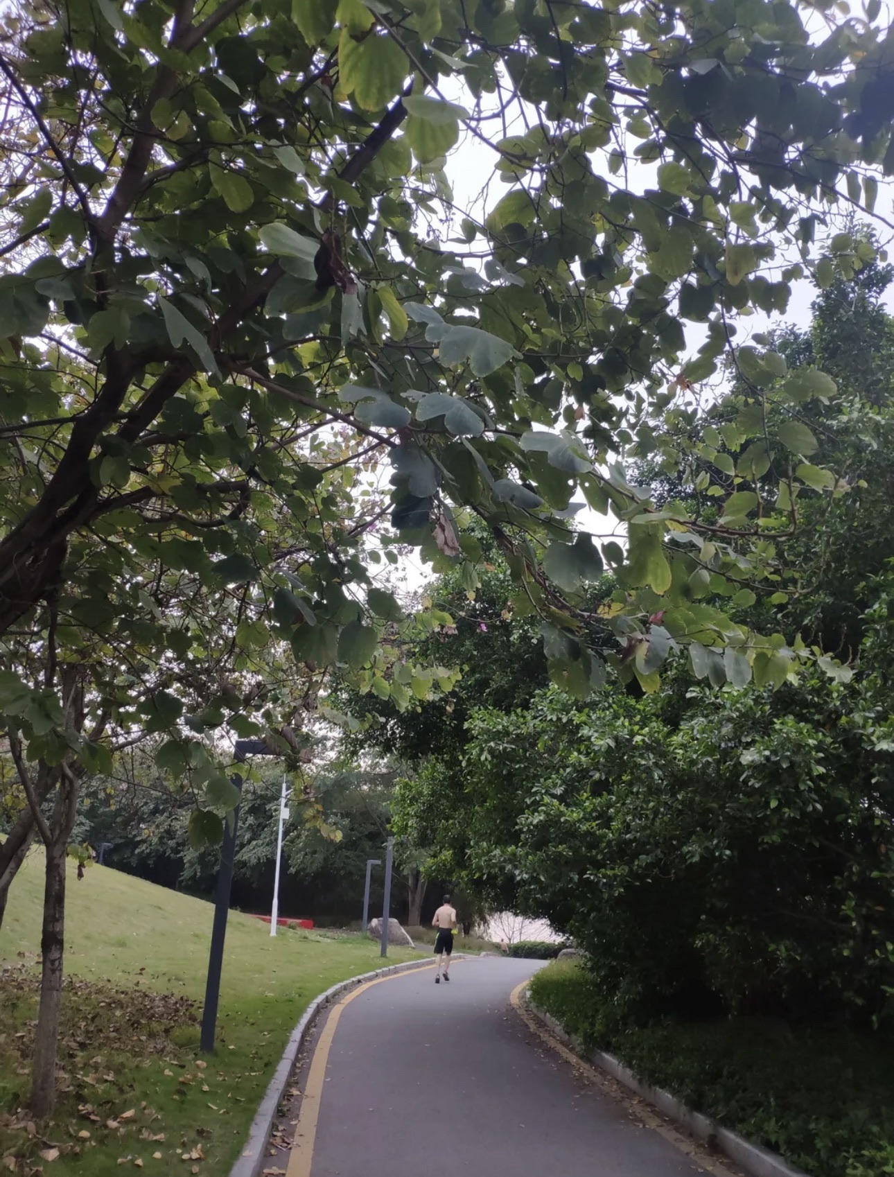 北滨江公园旅行图片 2