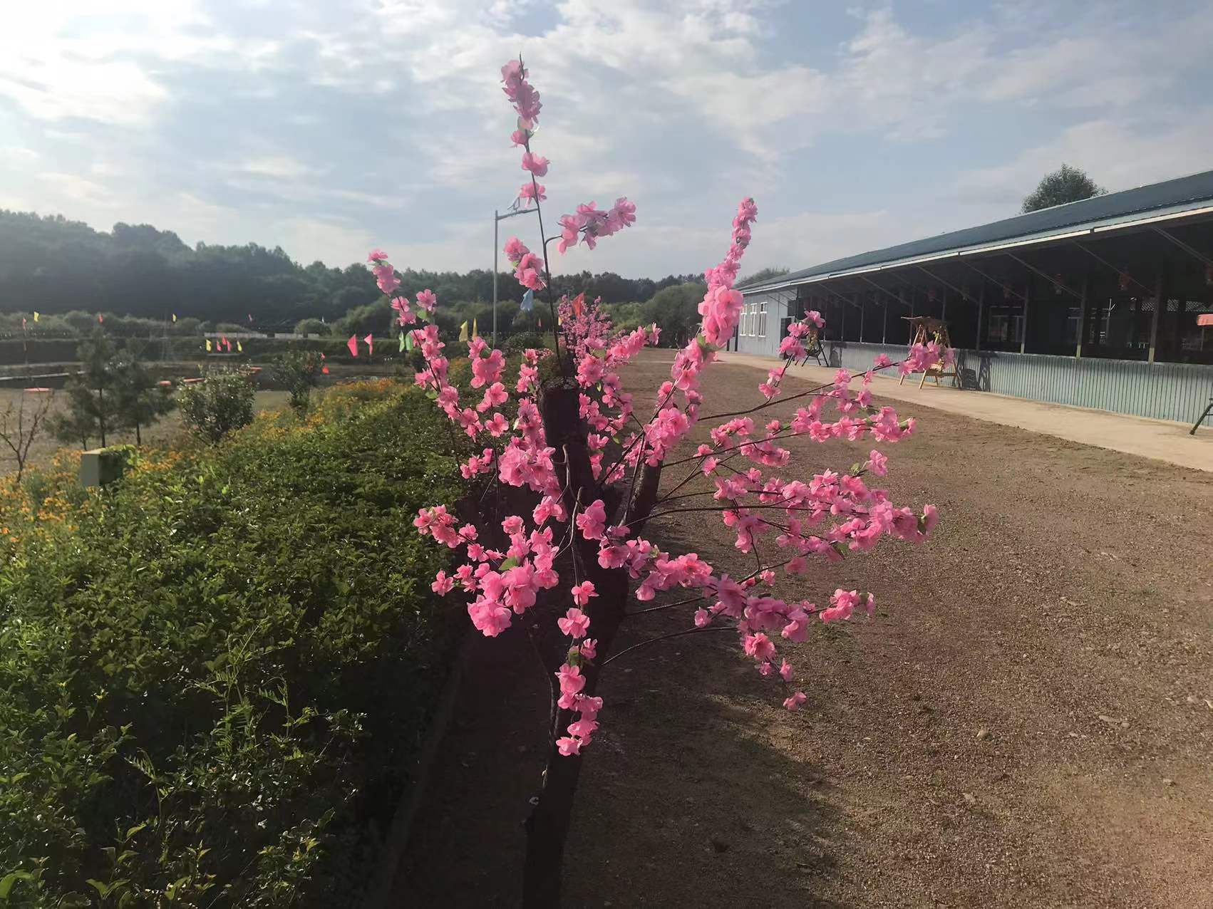 秀水景区旅行图片 3