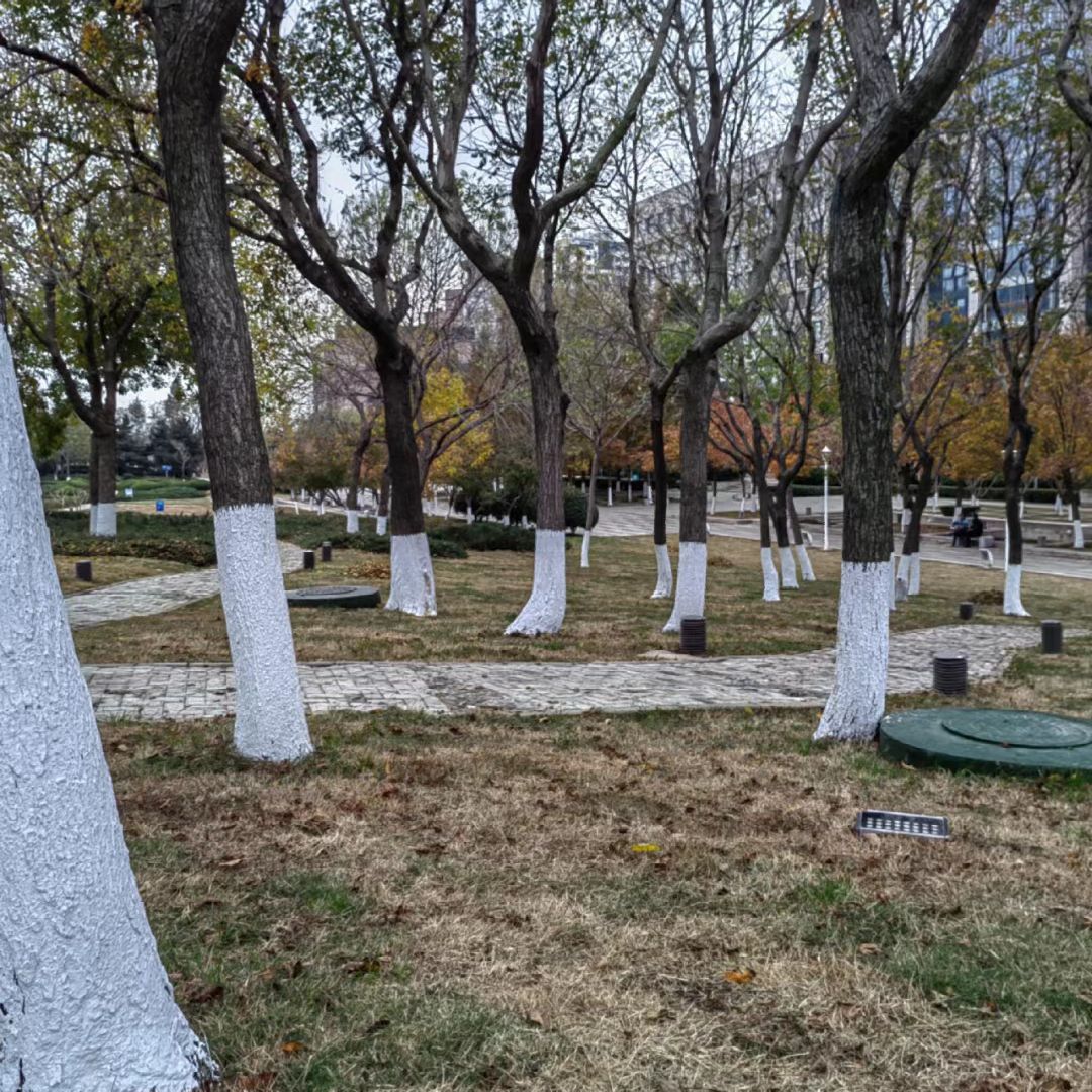 时尚三里河市民广场旅行图片 1