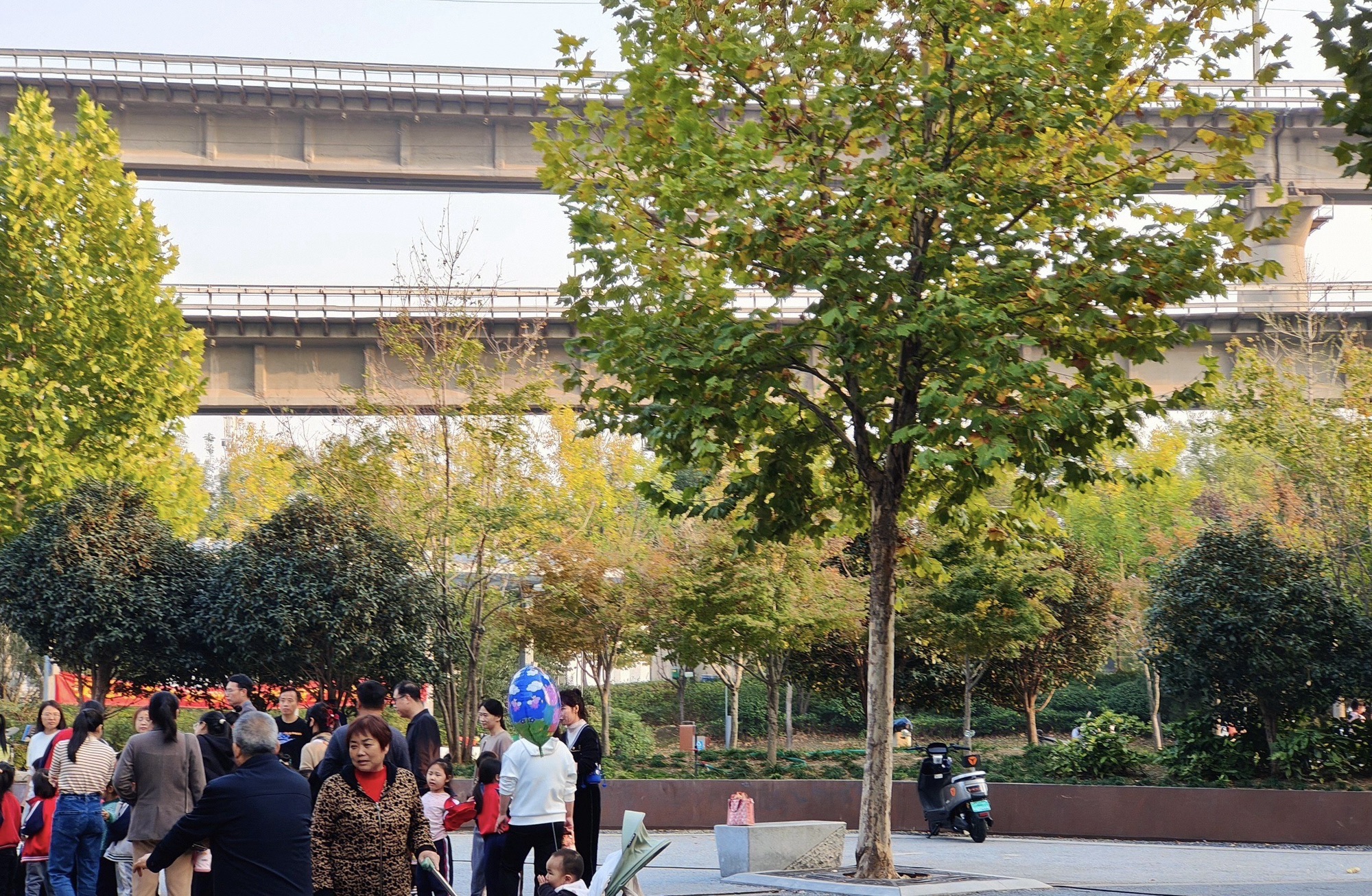 安平路高铁游园旅行图片 2