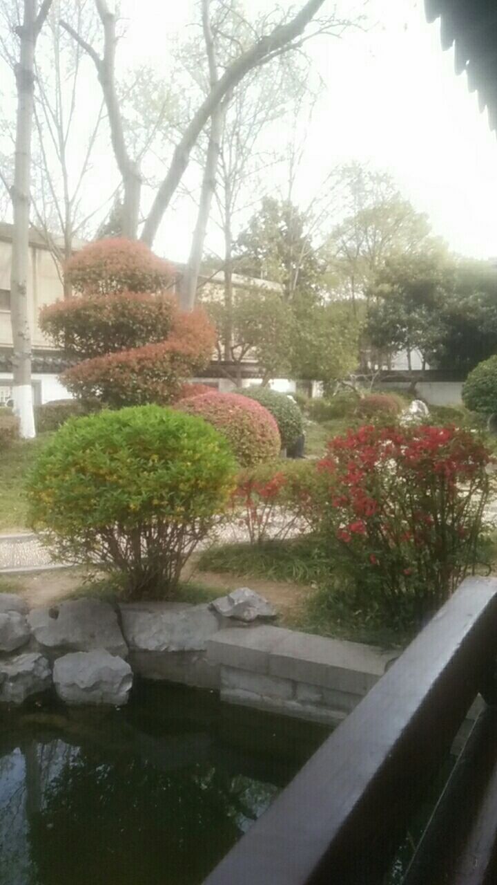 南京科学城V-park中央公园旅行图片 3