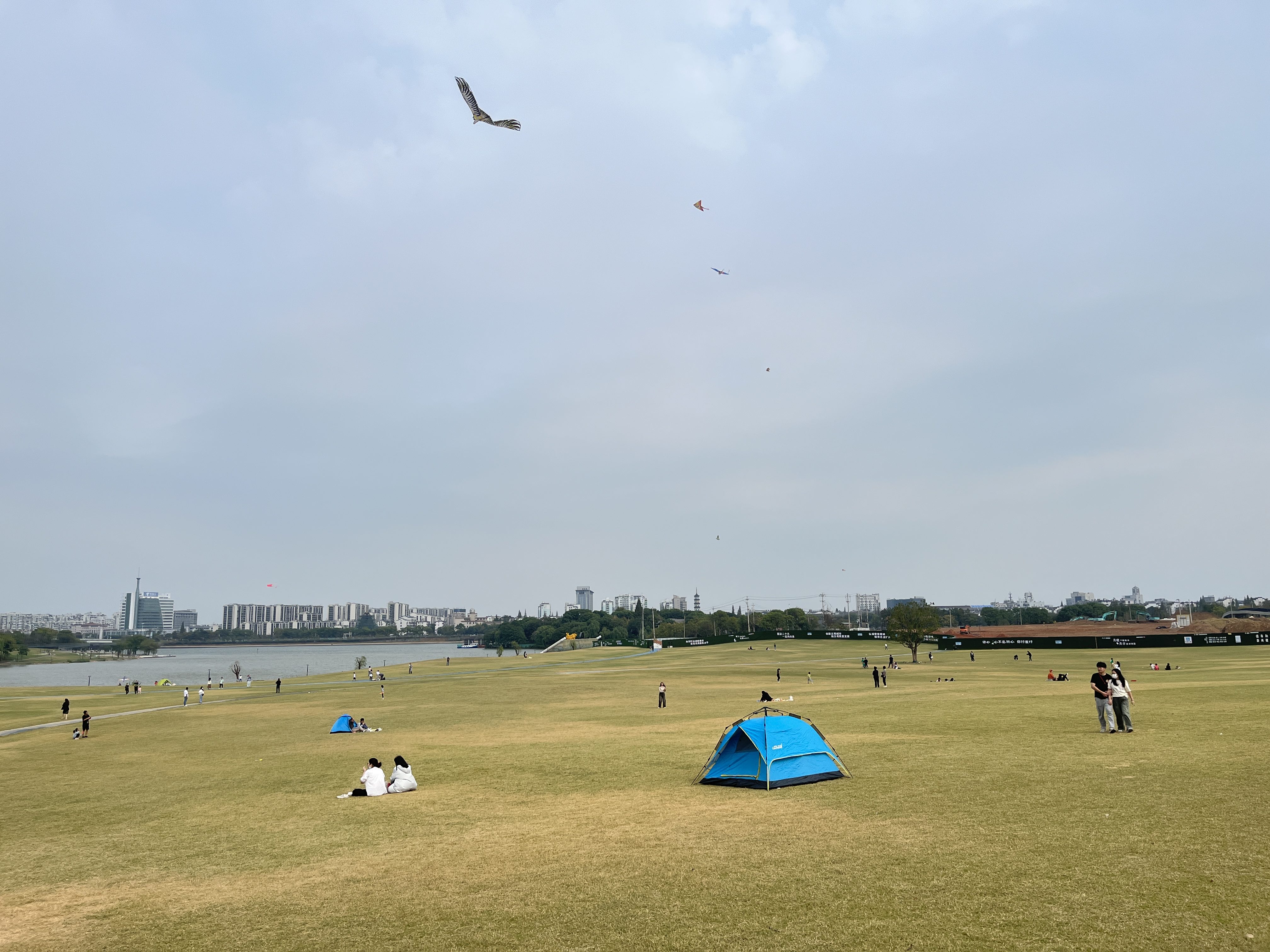 西区大草原马场